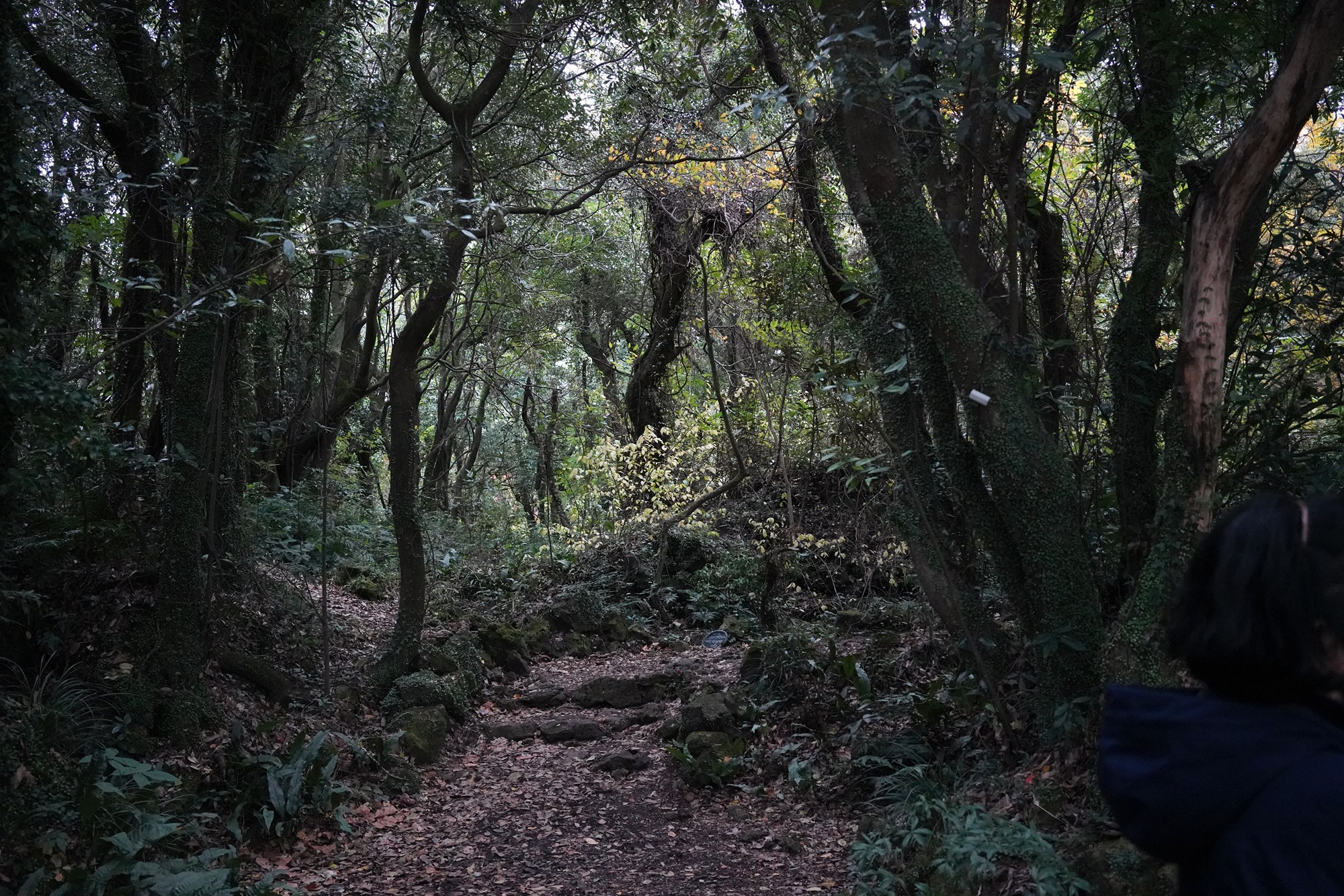 Jeju 16 (93)