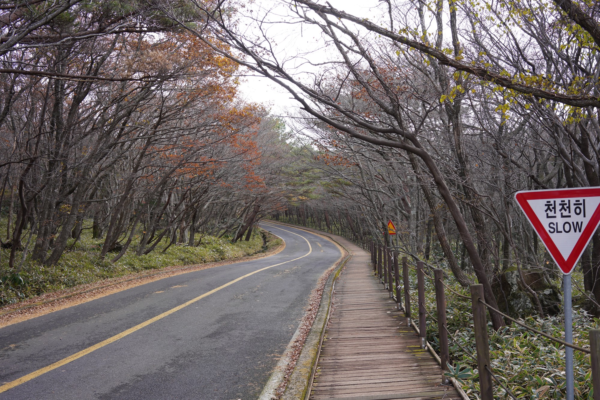 Jeju 17 (1)