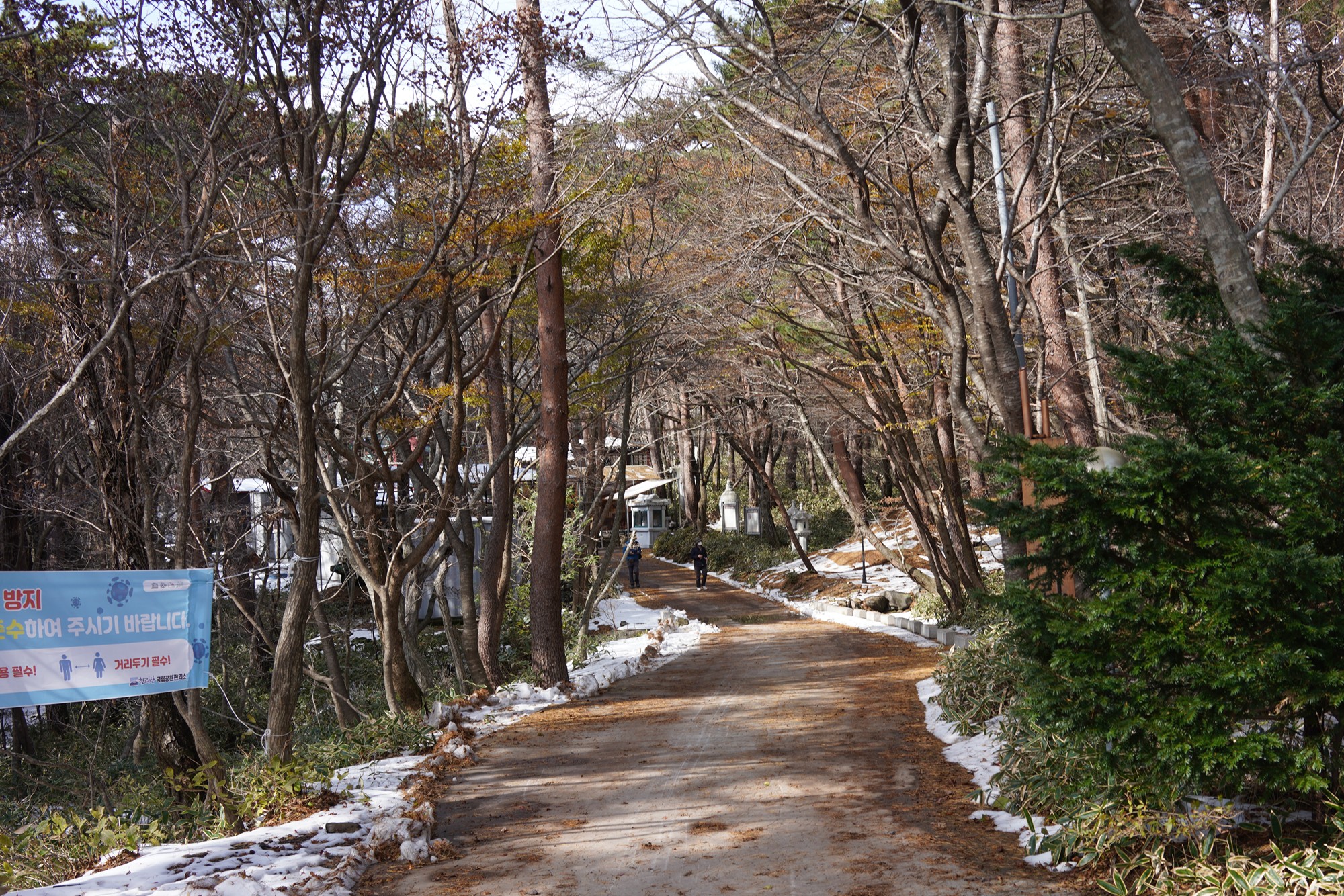 Jeju 17 (12)