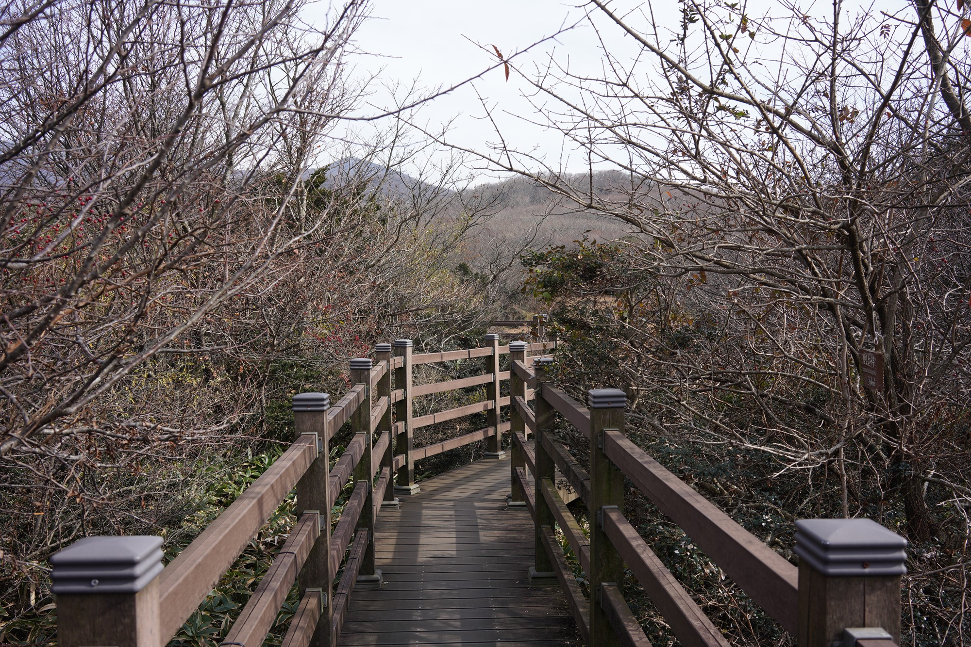 Jeju 17 (18)