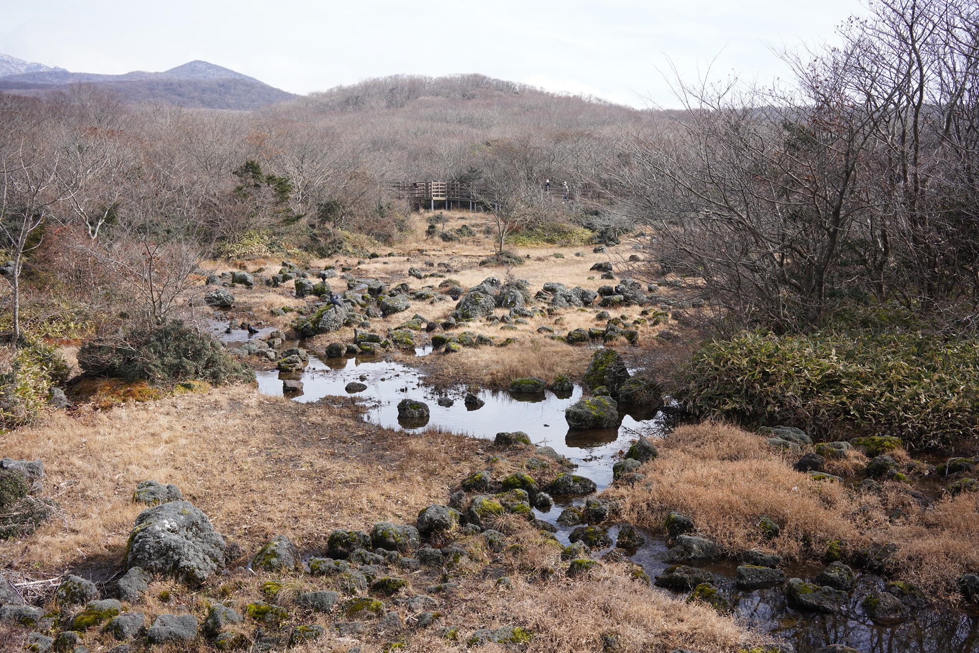 Jeju 17 (19)