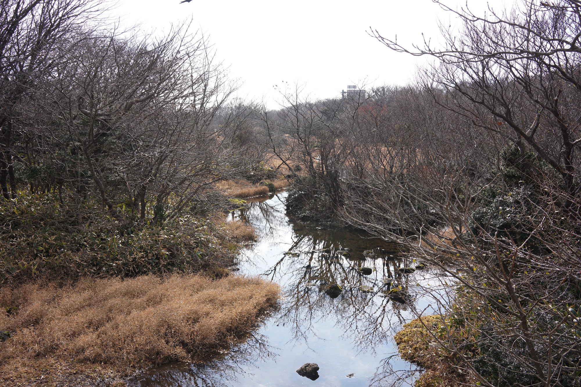 Jeju 17 (20)