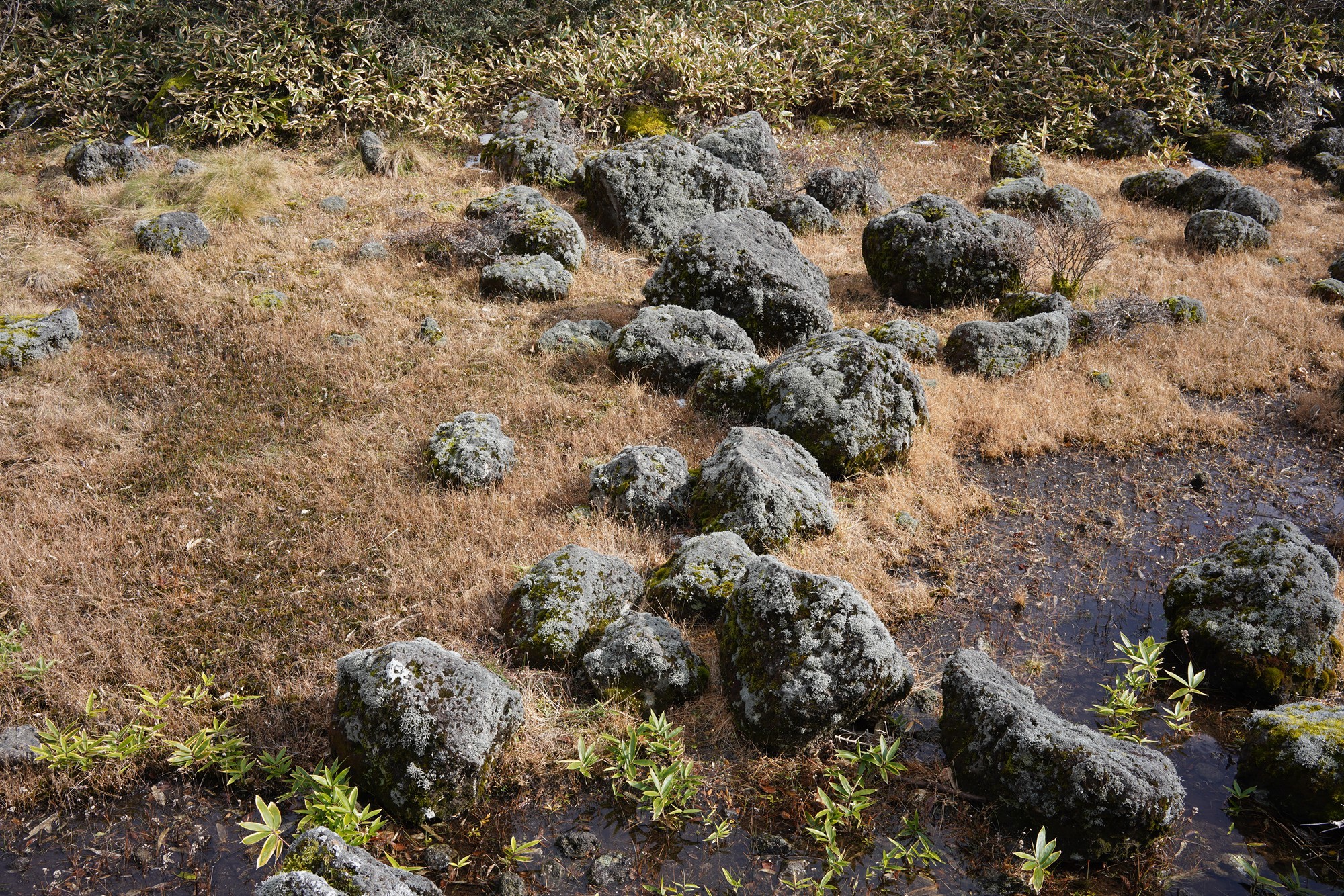 Jeju 17 (21)