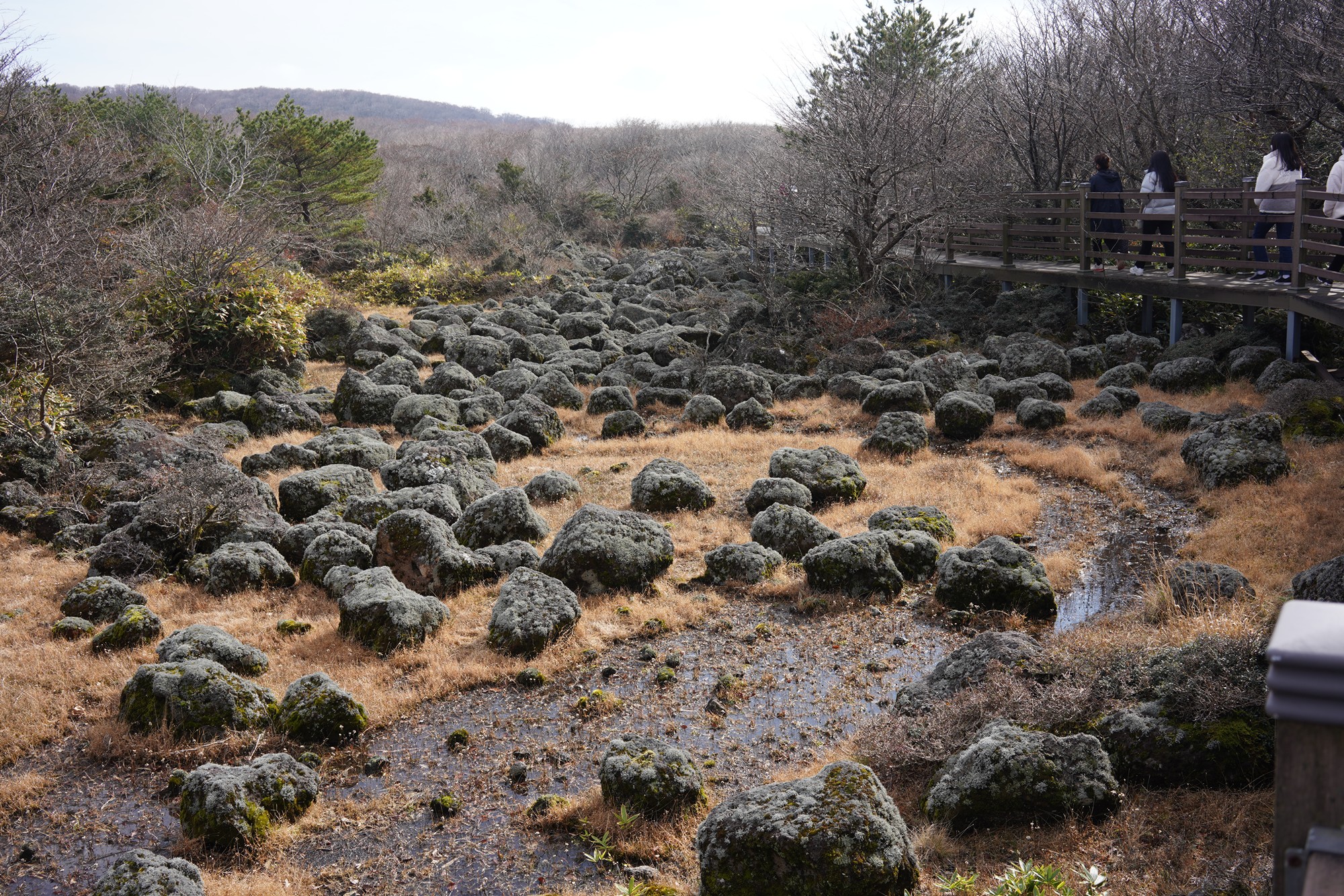 Jeju 17 (22)