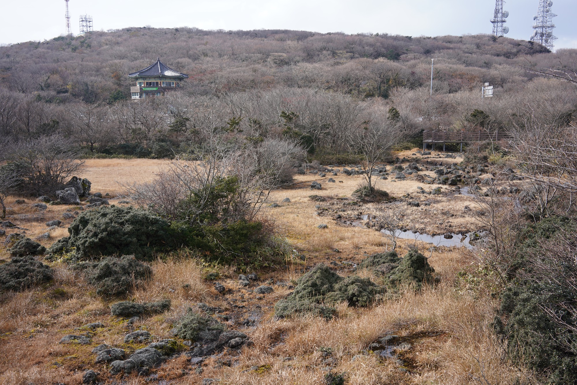 Jeju 17 (24)