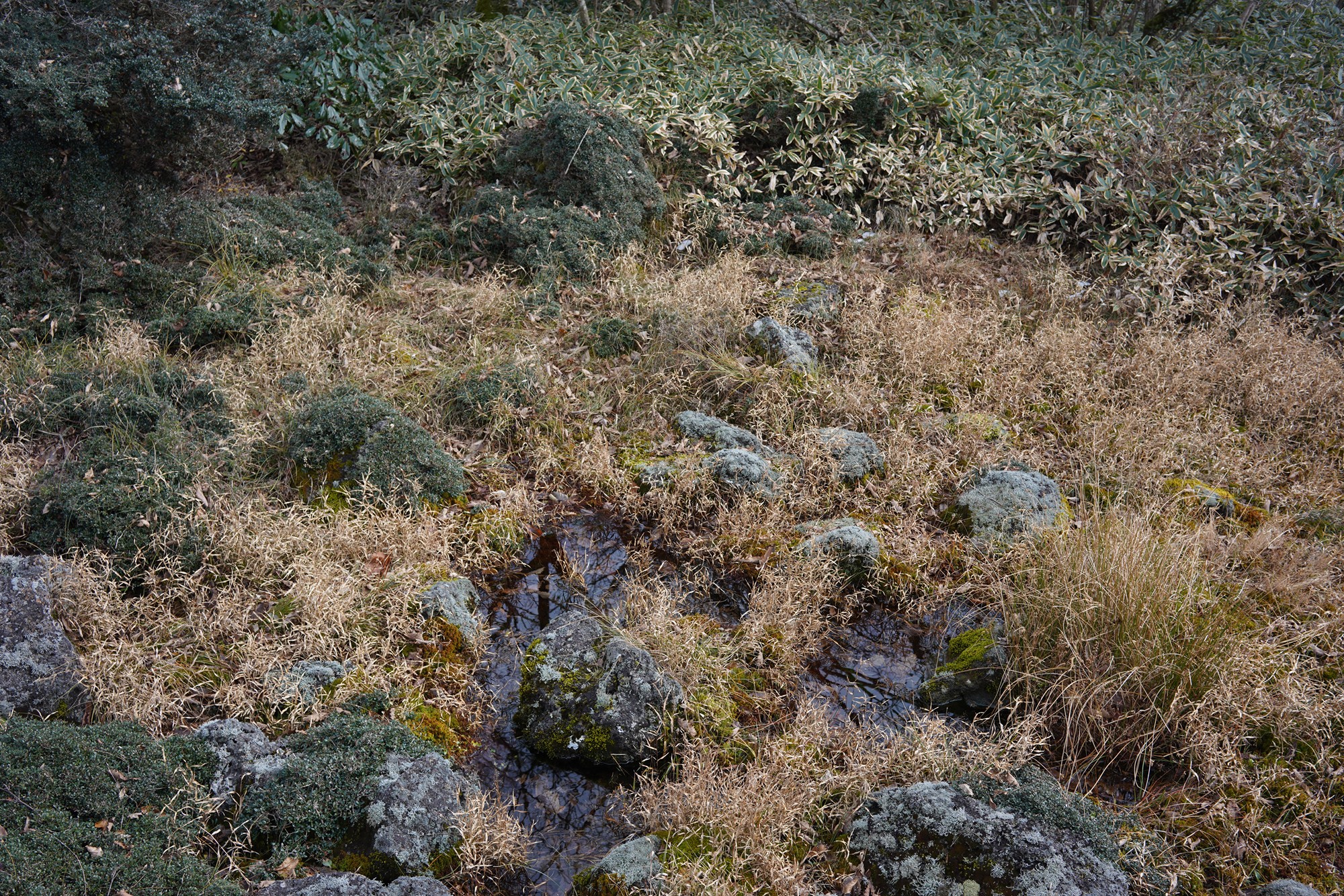 Jeju 17 (25)
