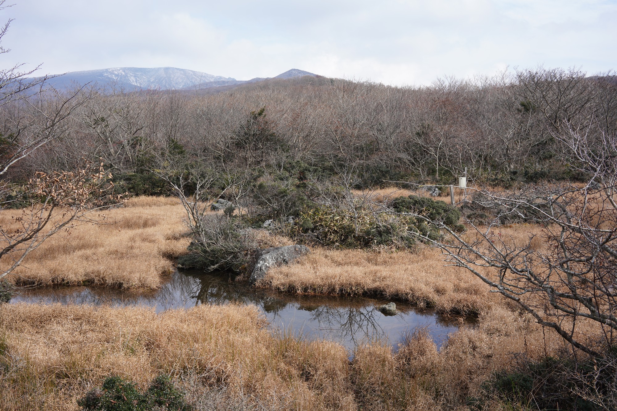 Jeju 17 (27)