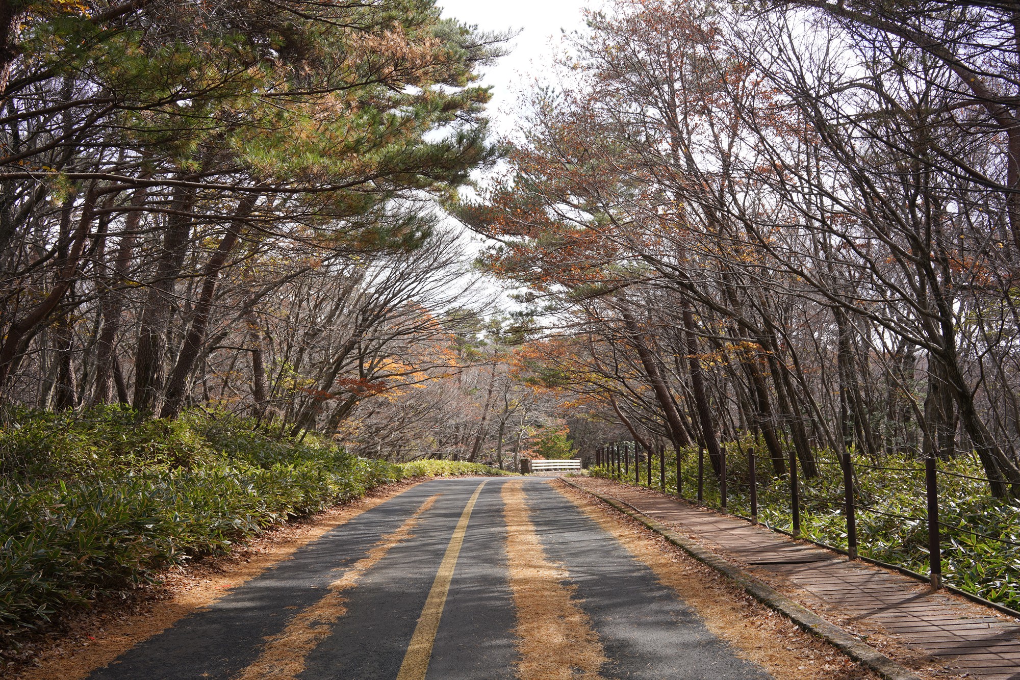 Jeju 17 (3)
