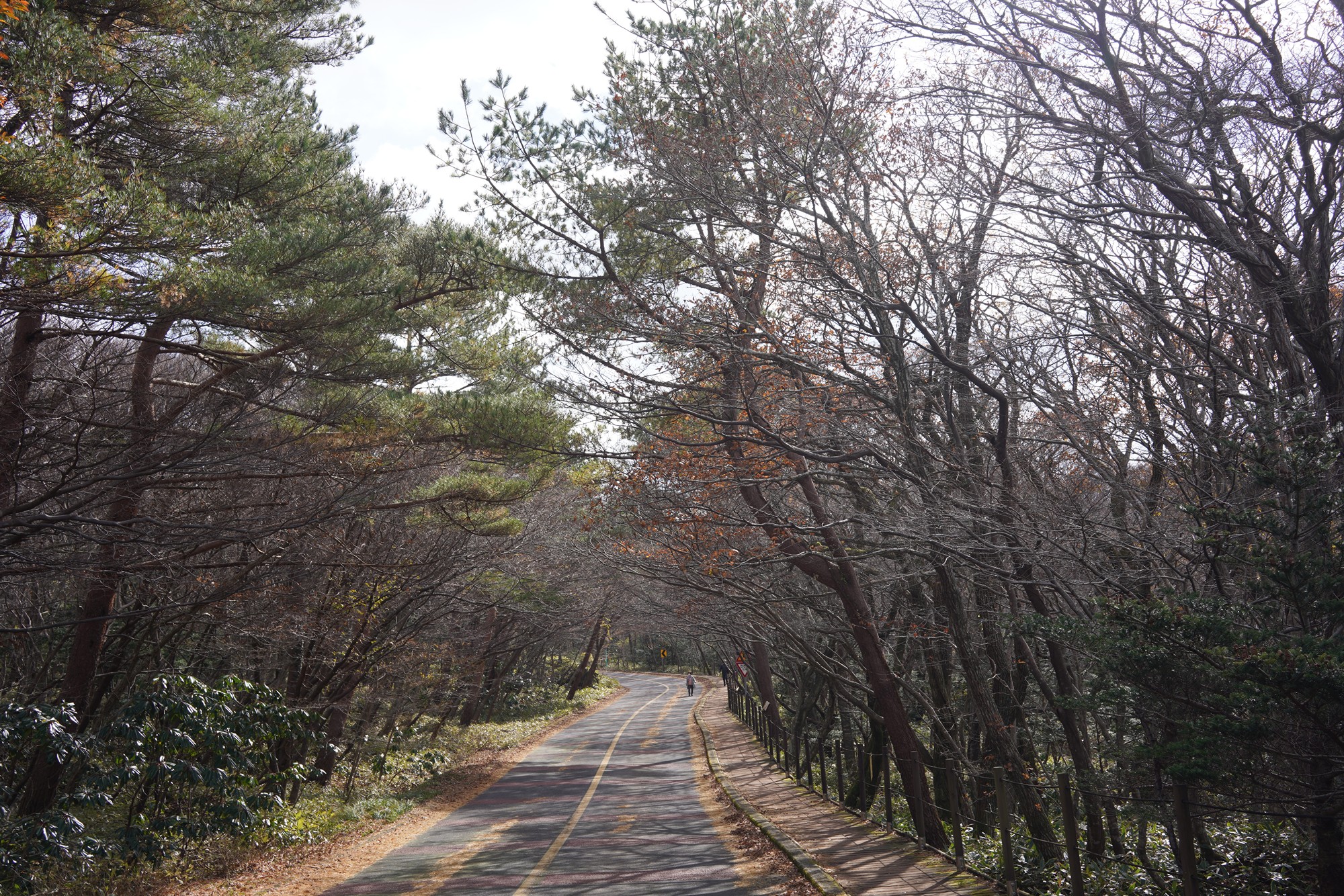 Jeju 17 (4)