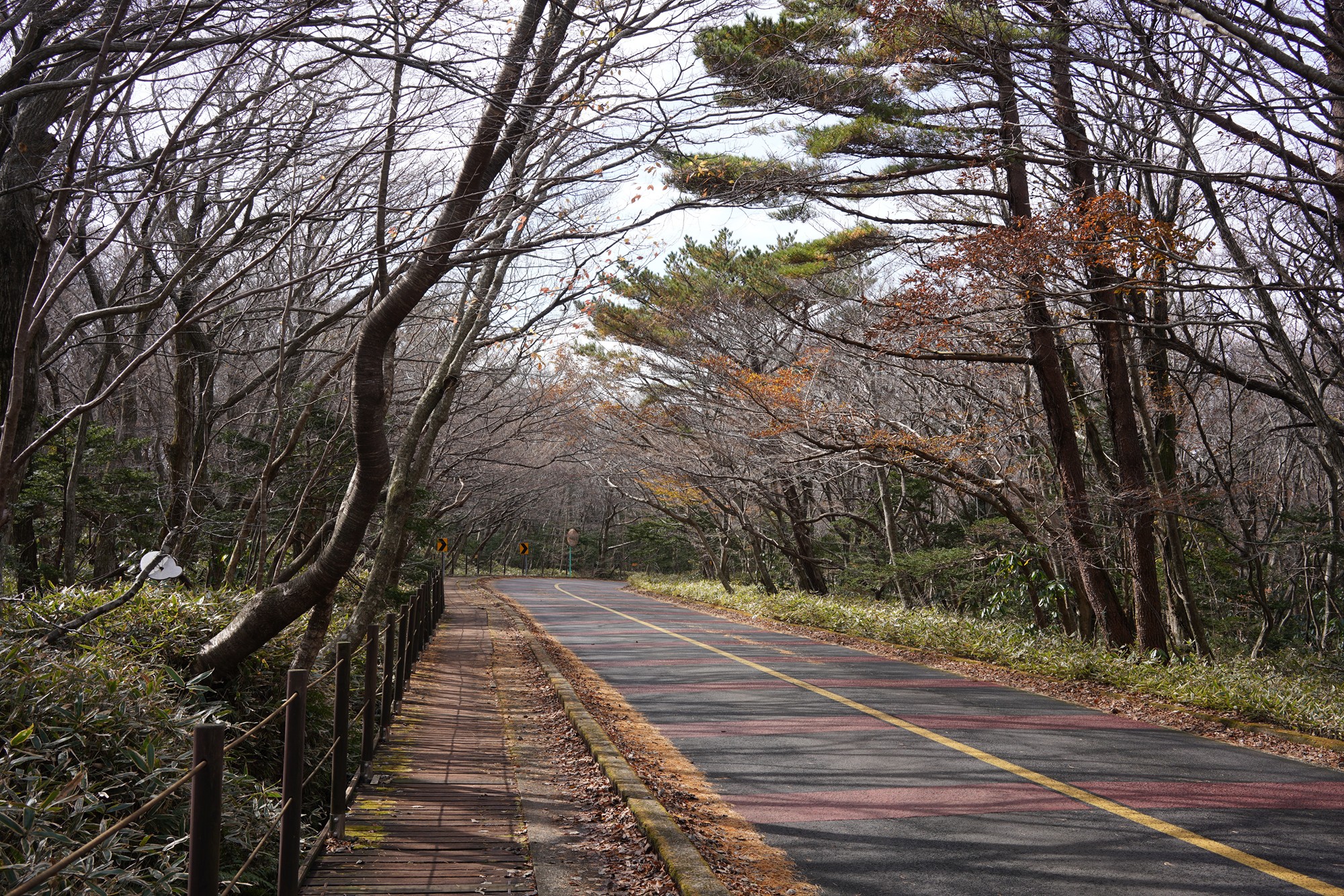 Jeju 17 (5)