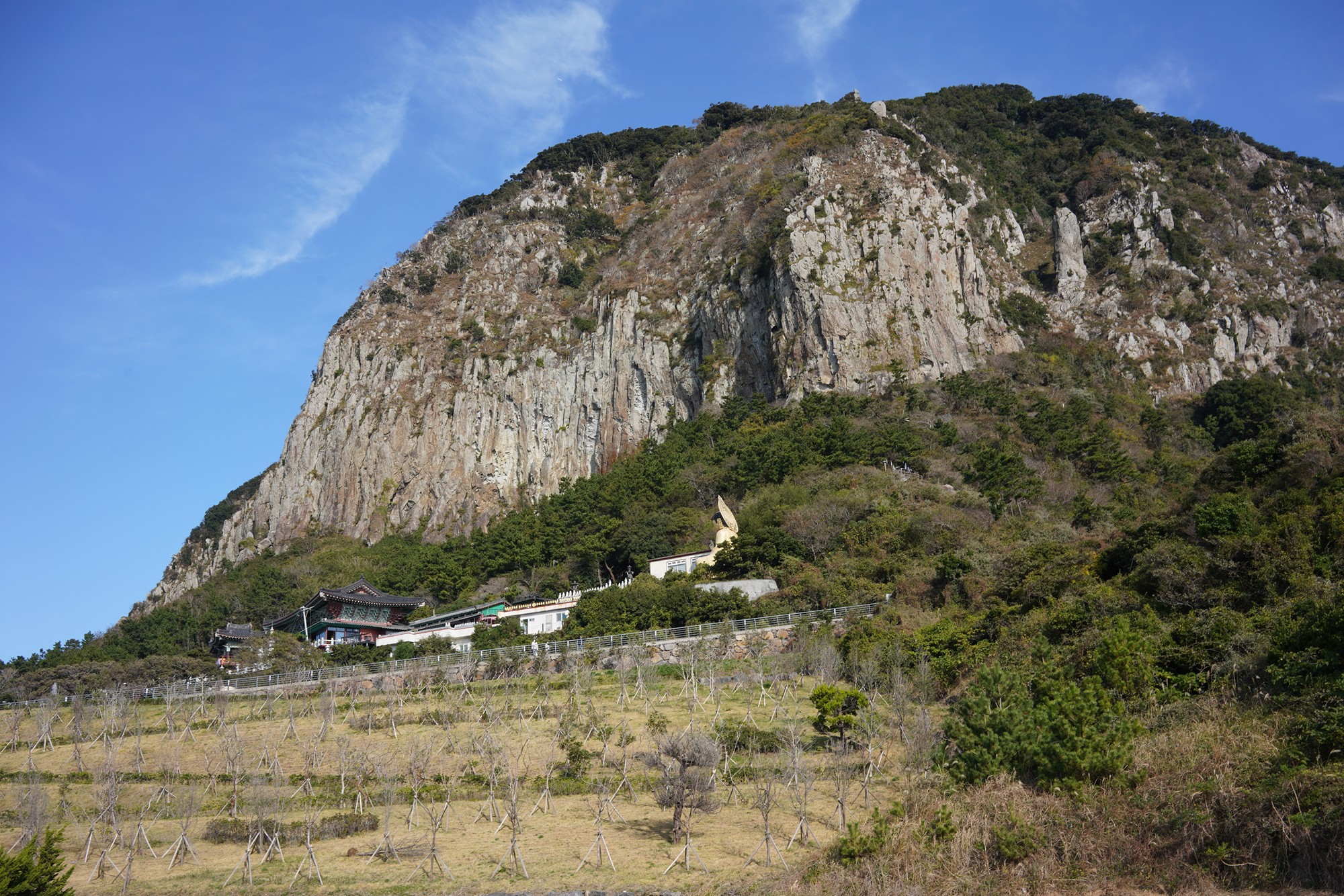 Jeju 17 (56)