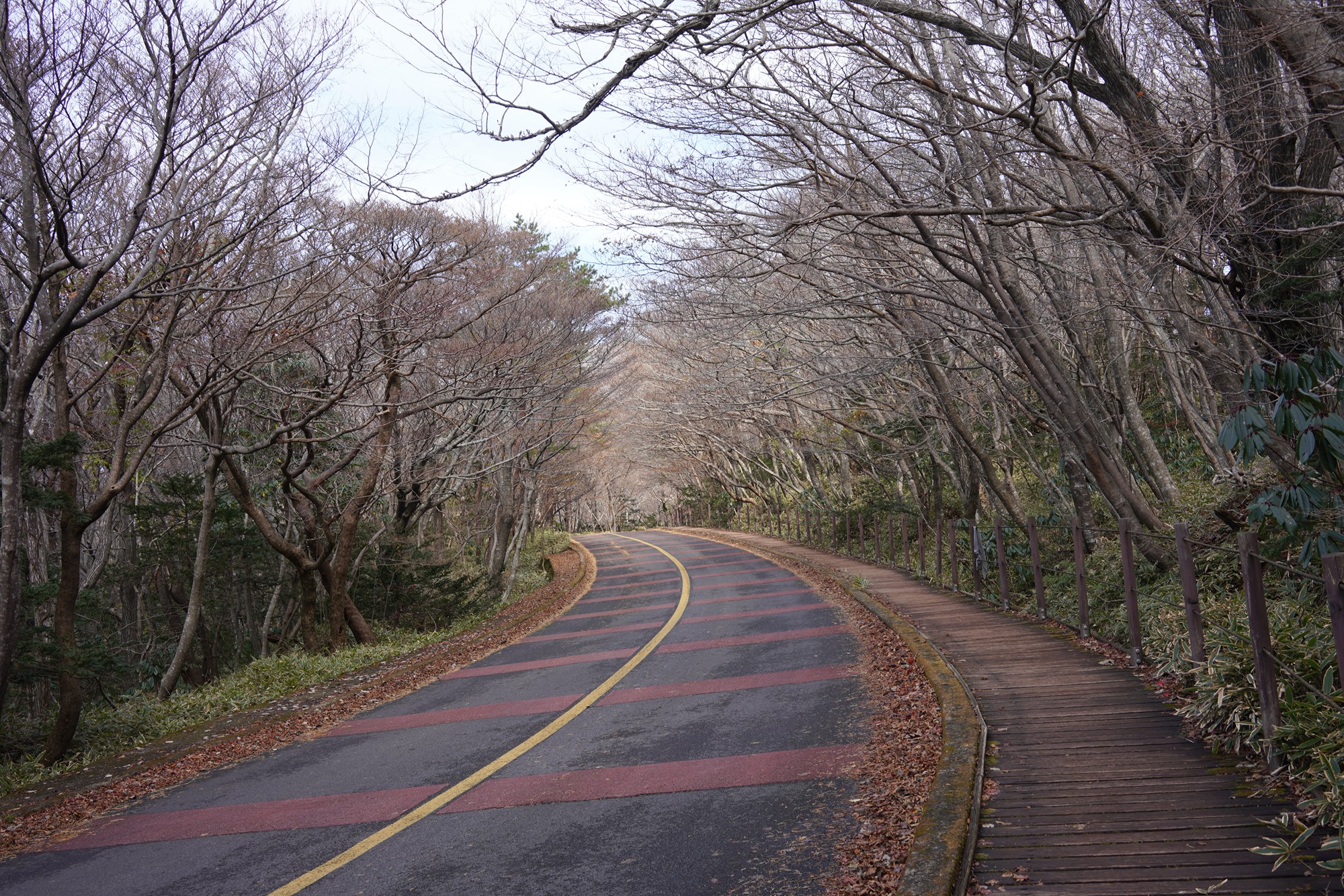 Jeju 17 (7)
