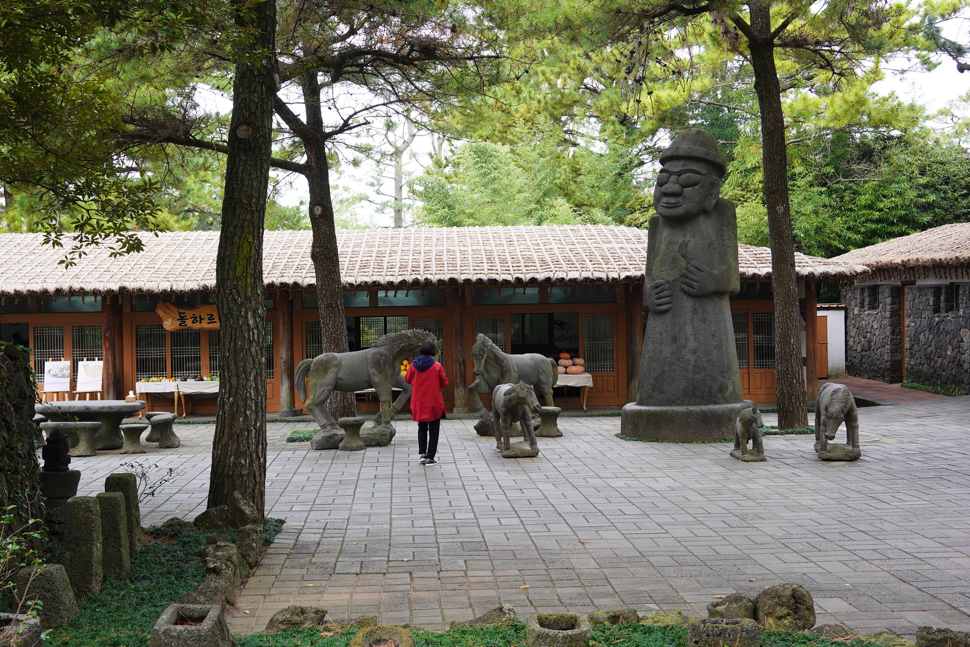 Jeju 18 (14-2)