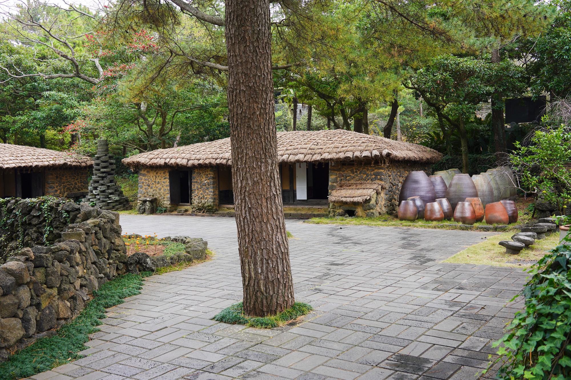 Jeju 18 (14)