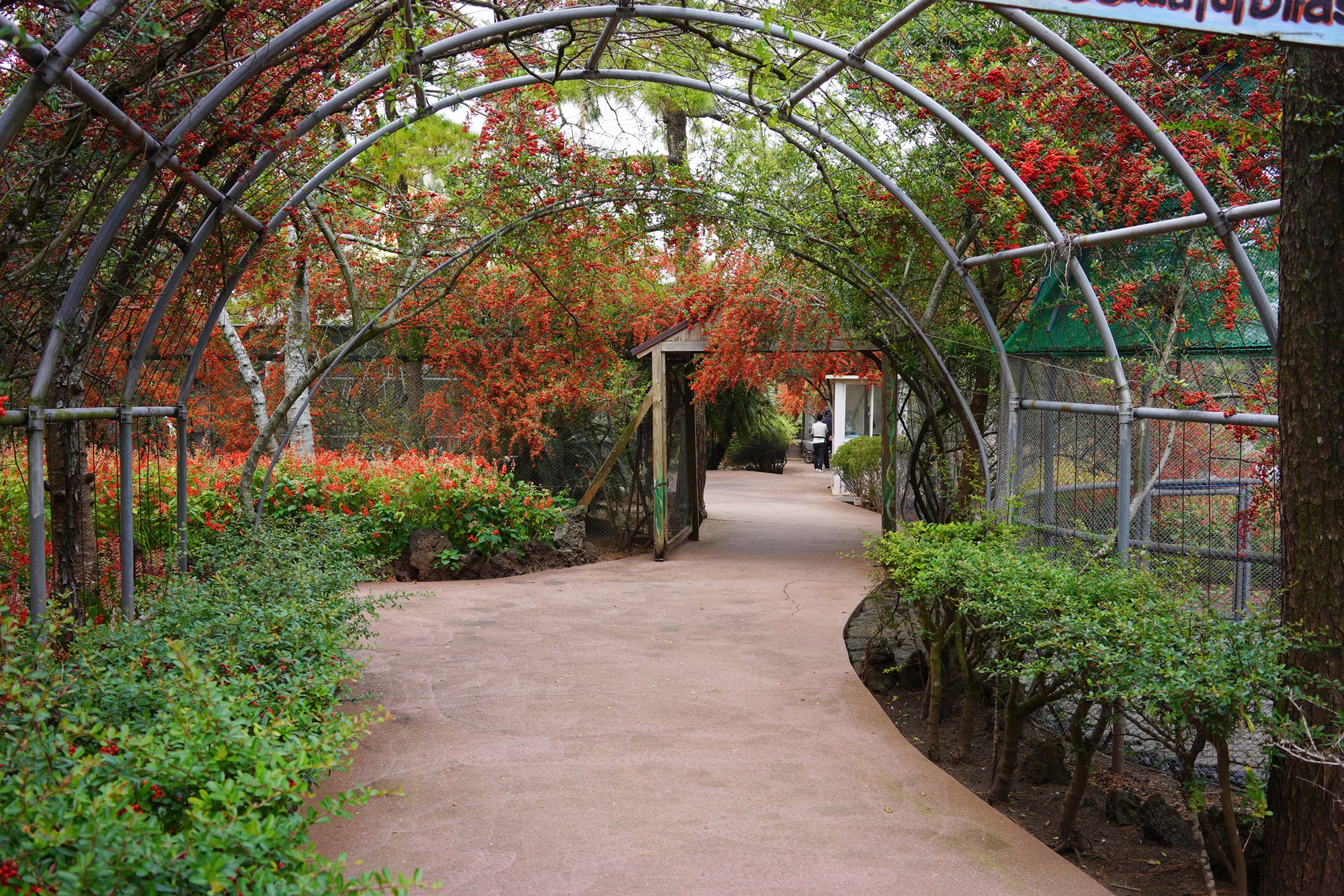 Jeju 18 (15)