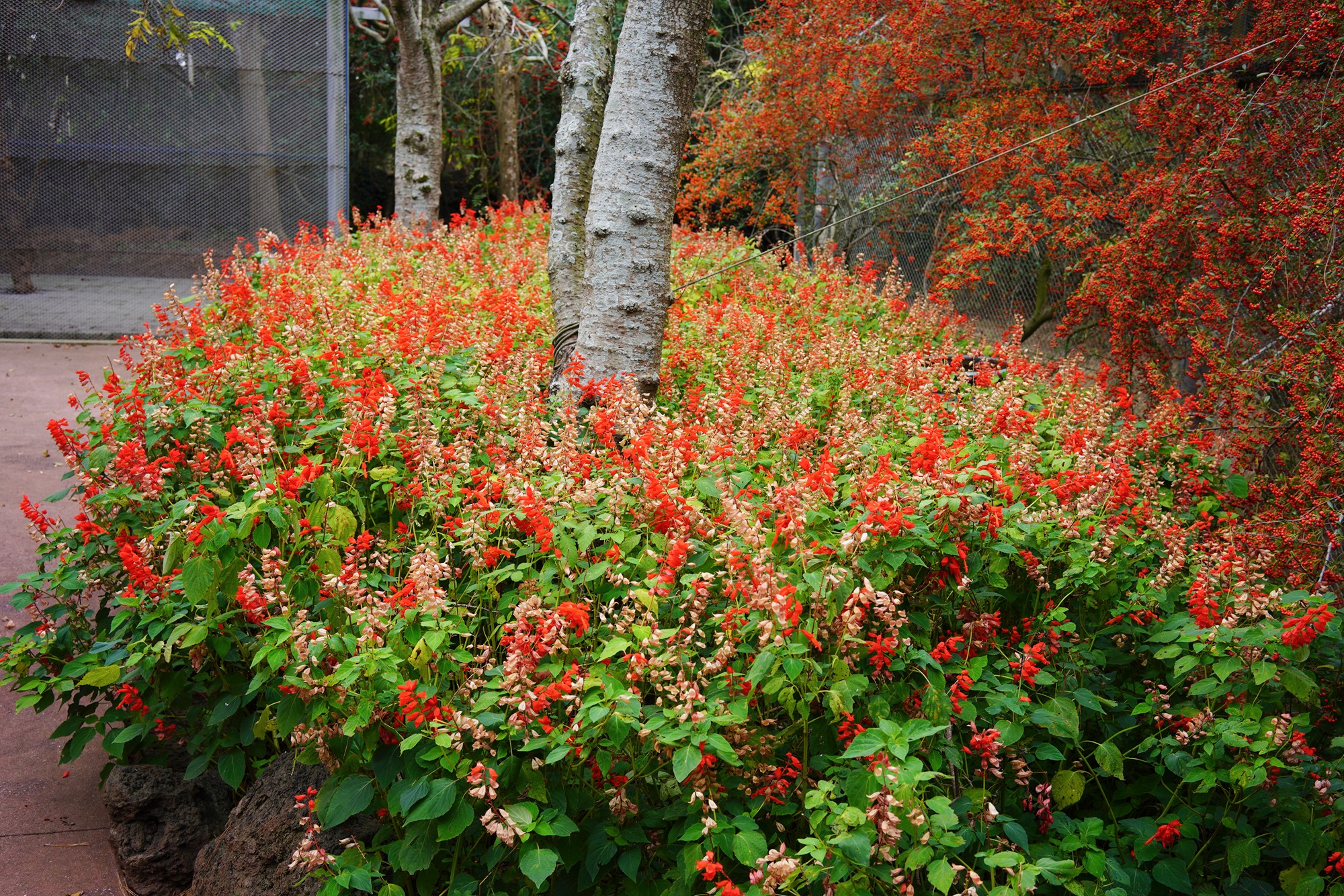 Jeju 18 (16)