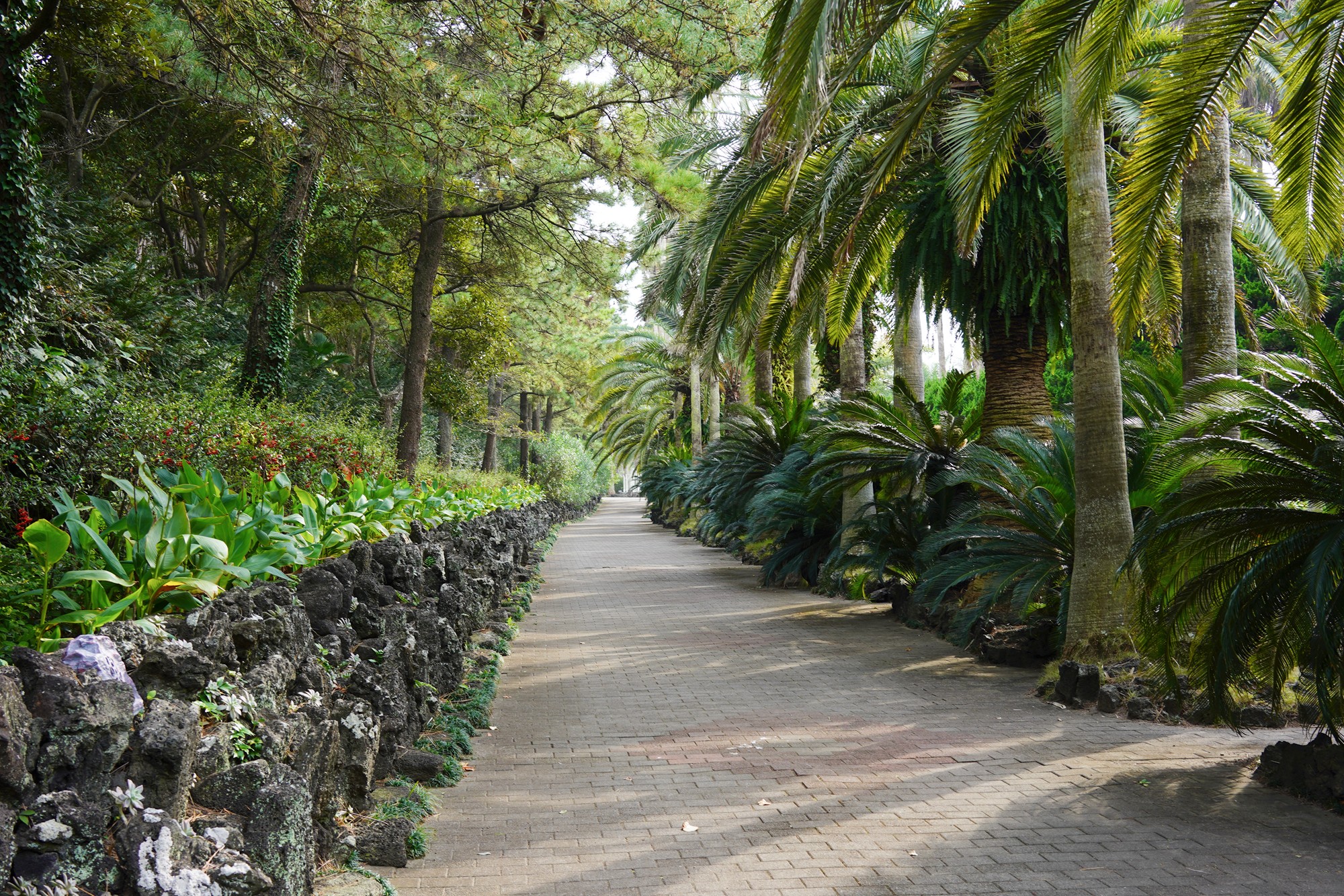 Jeju 18 (18)