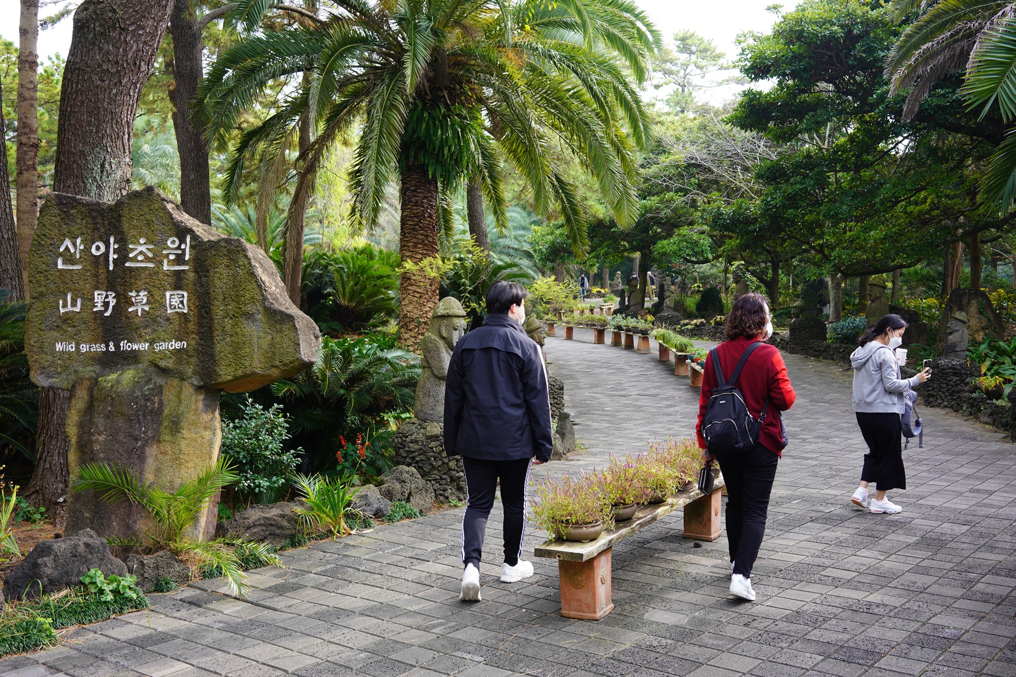 Jeju 18 (19)