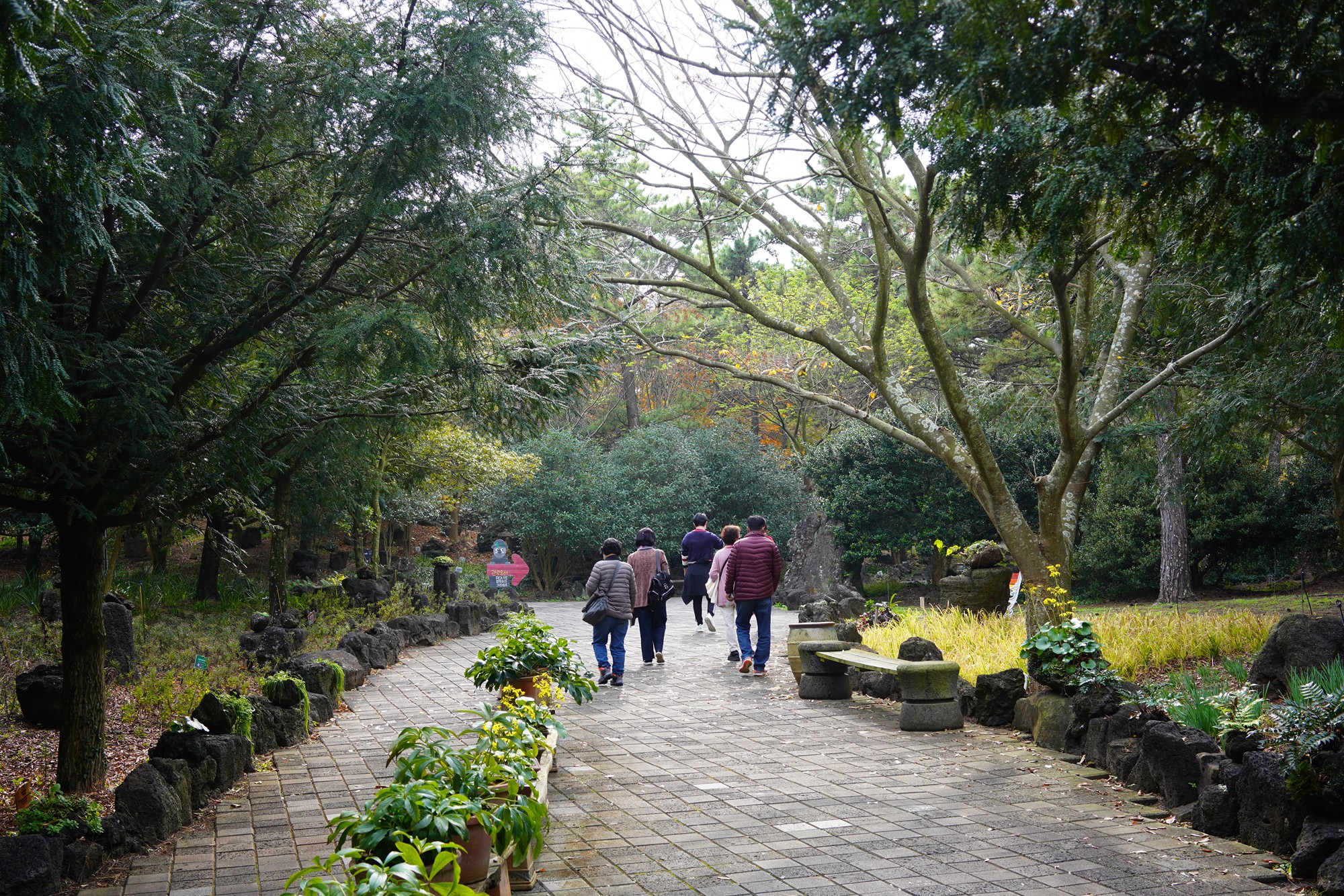 Jeju 18 (20)