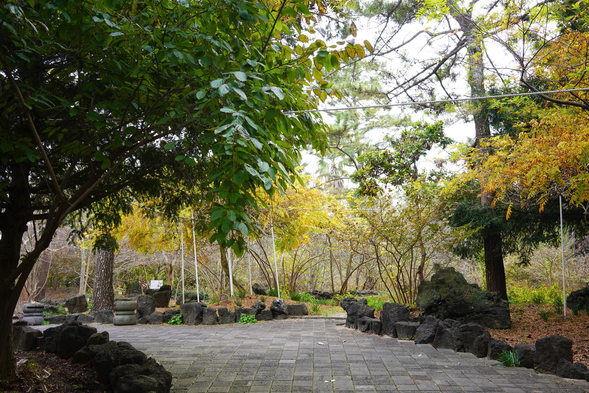 Jeju 18 (21)
