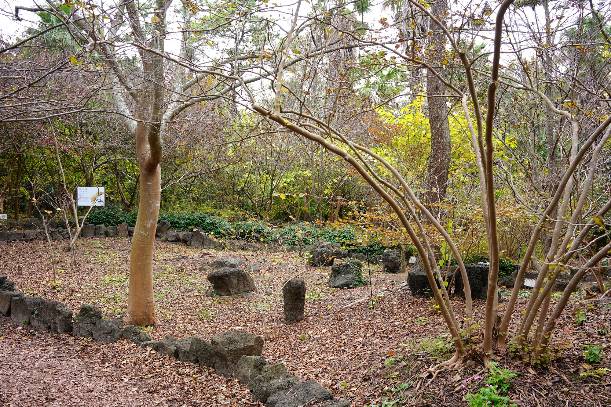 Jeju 18 (23)