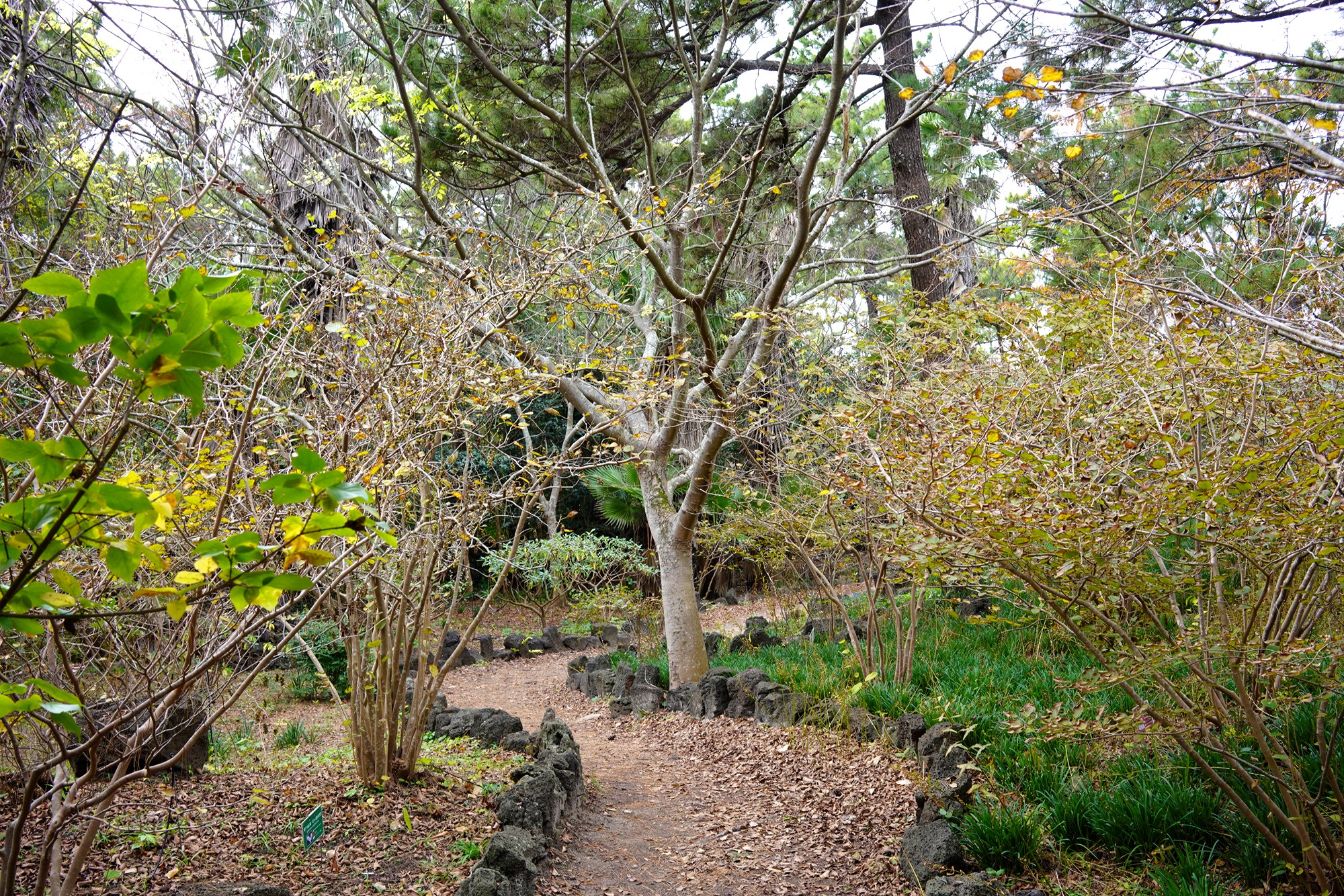 Jeju 18 (24)
