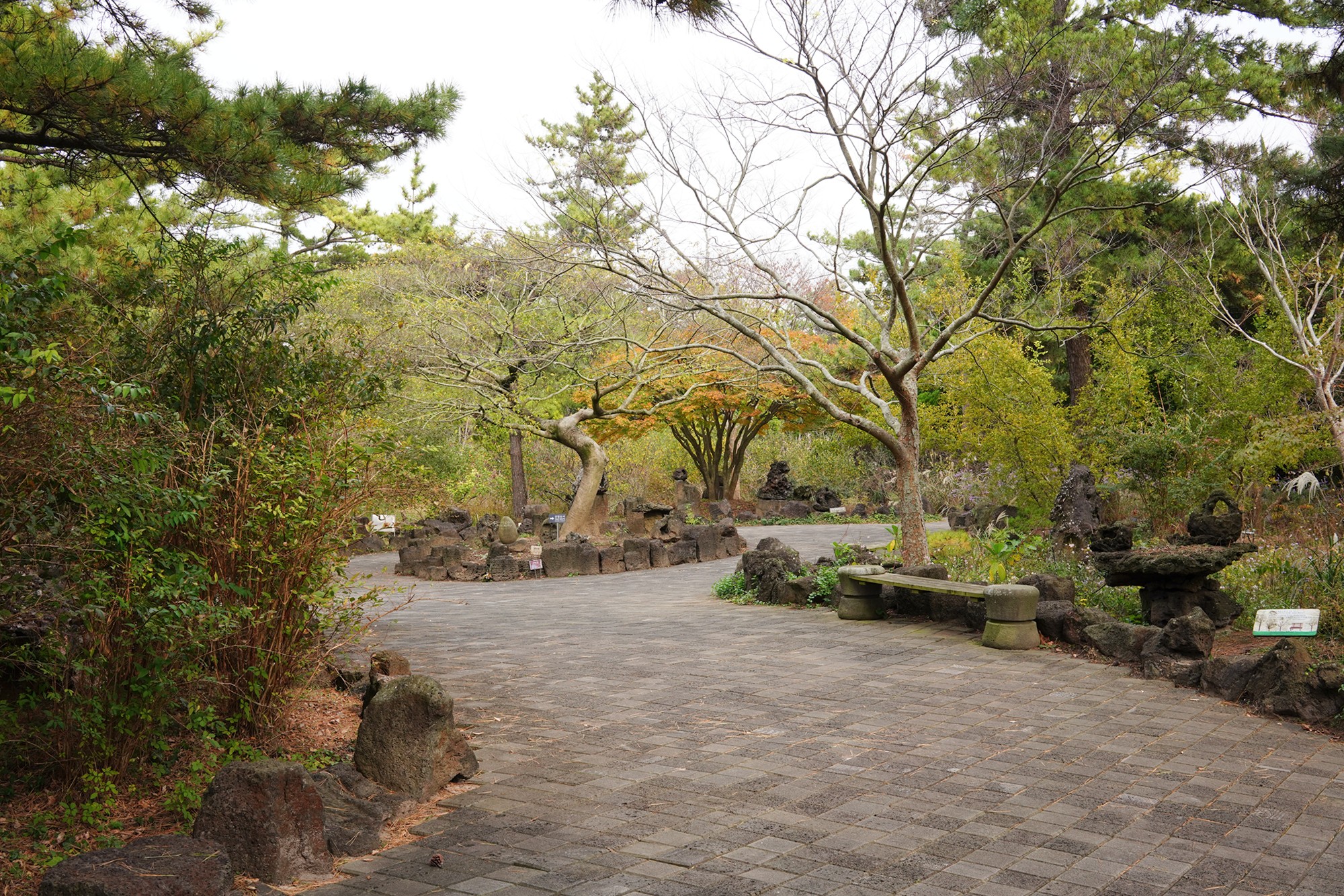 Jeju 18 (26)