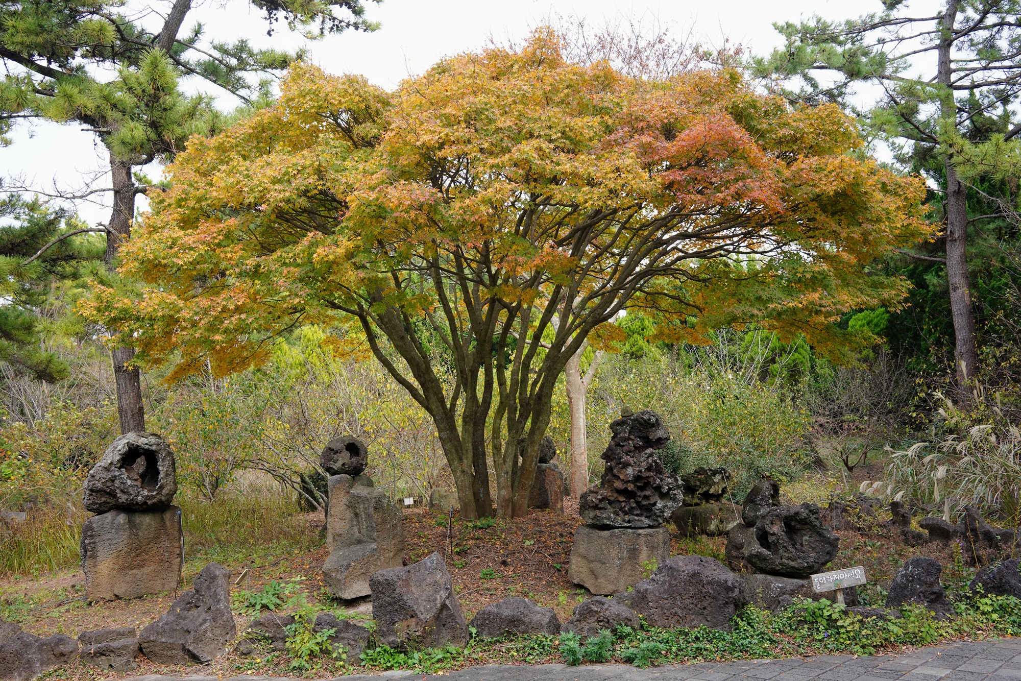 Jeju 18 (28)