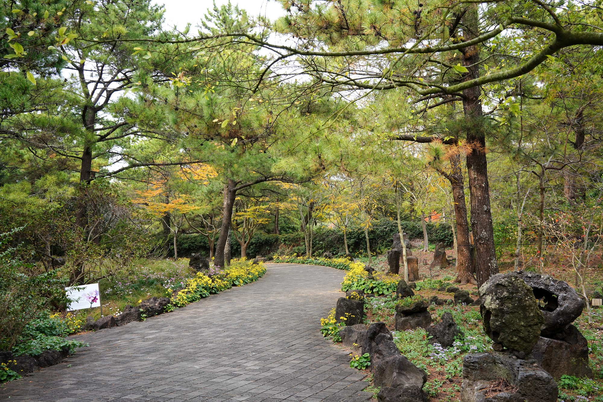 Jeju 18 (29)