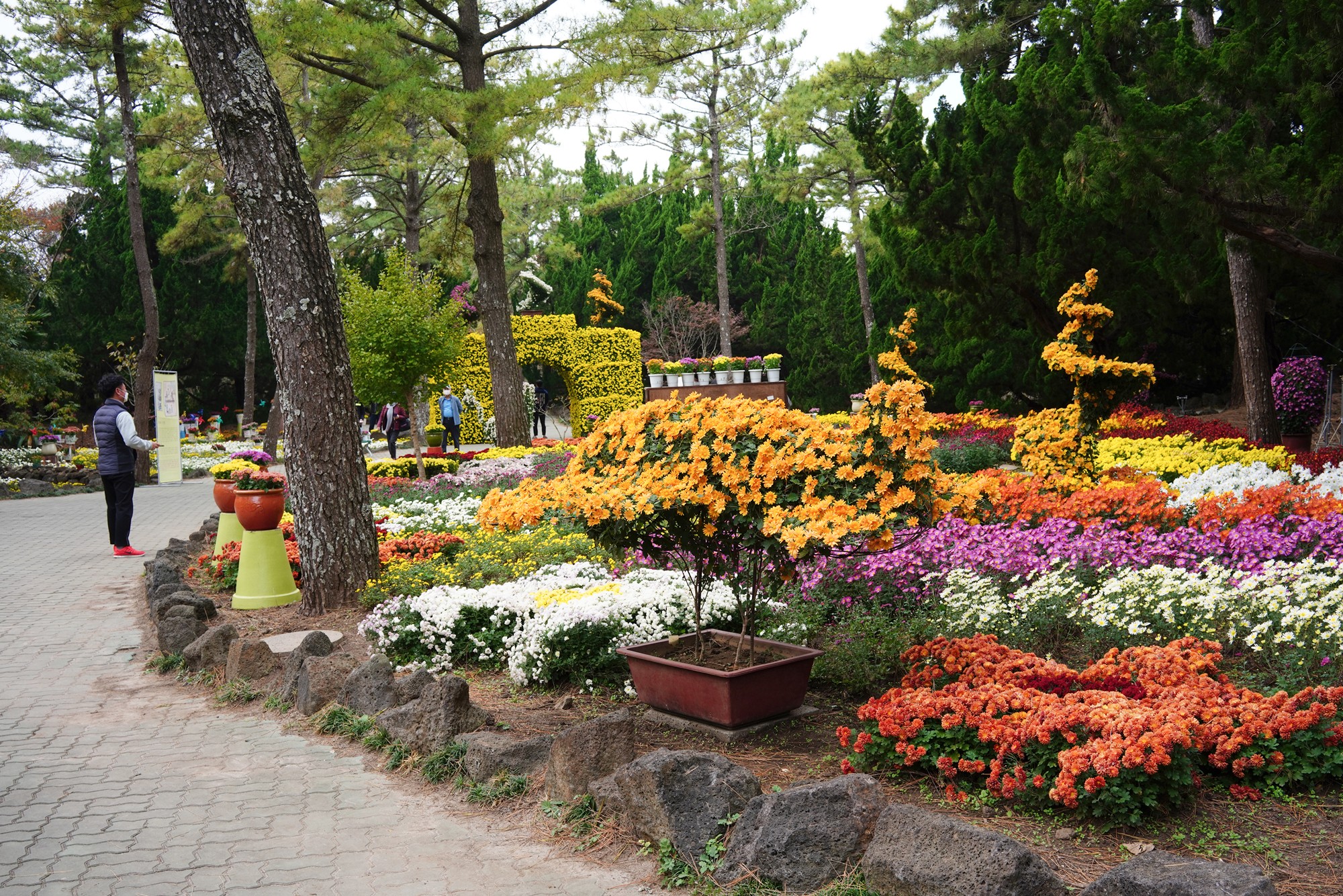 Jeju 18 (31)
