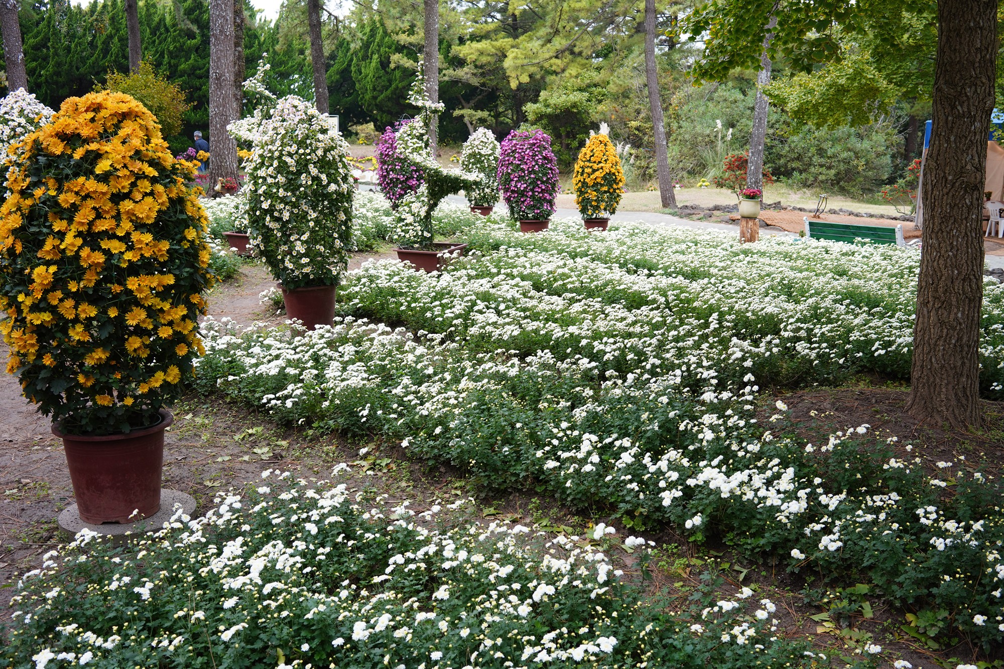 Jeju 18 (33)