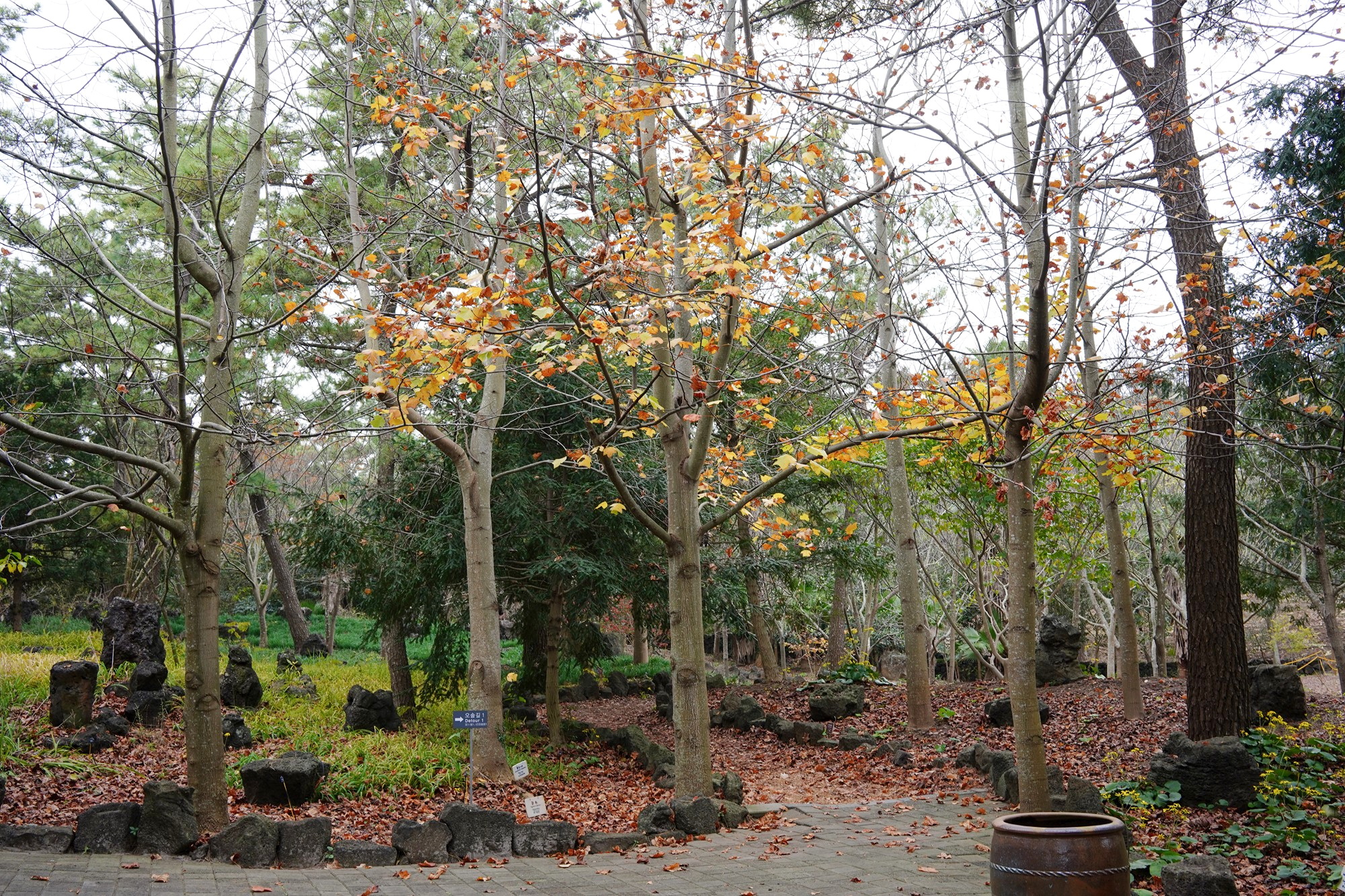 Jeju 18 (37)
