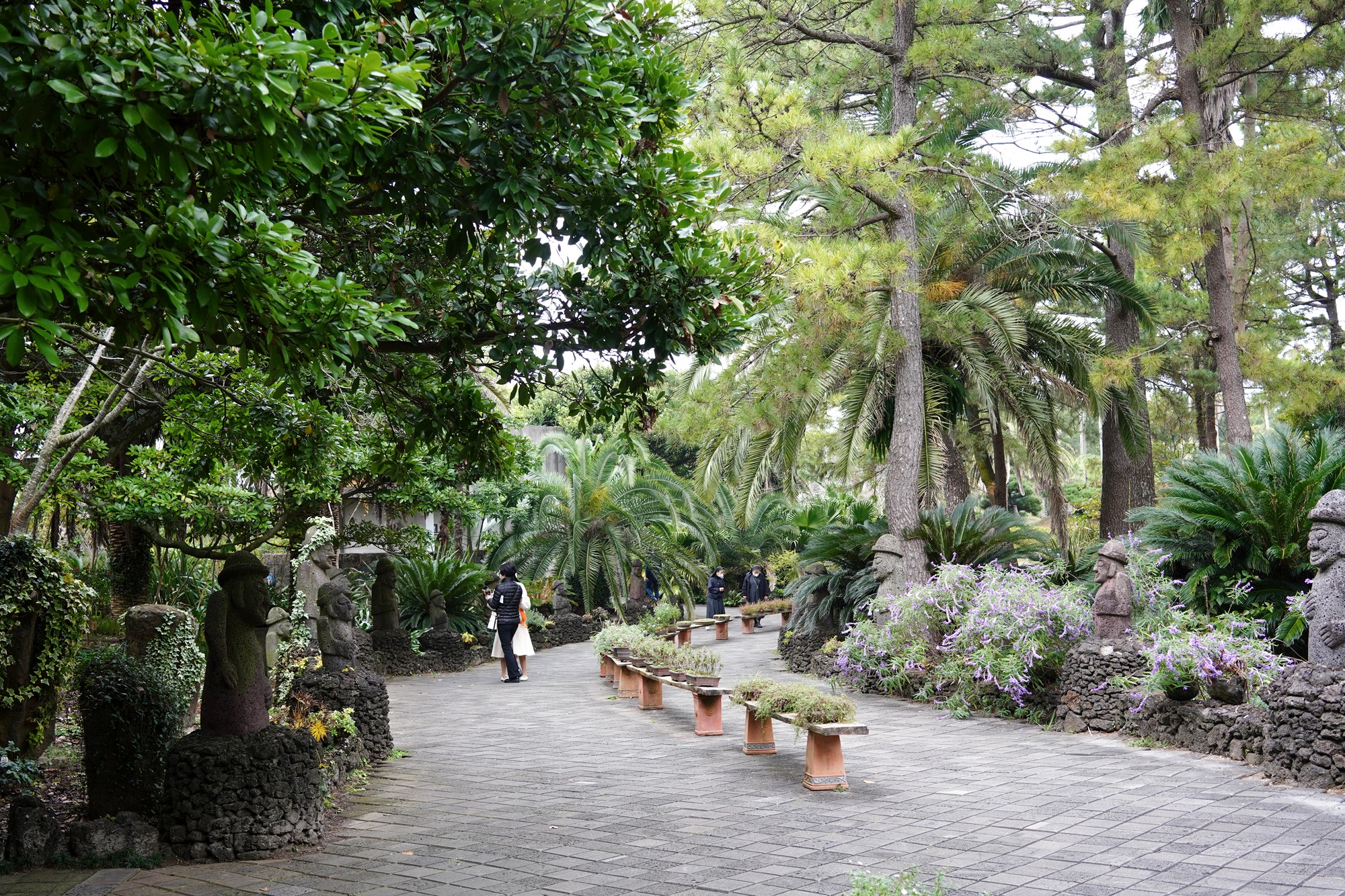 Jeju 18 (38)