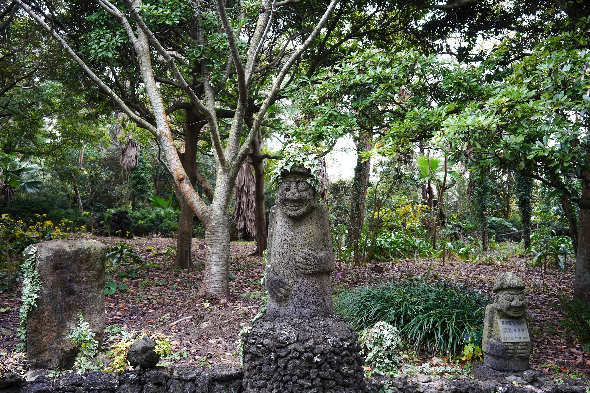 Jeju 18 (39)