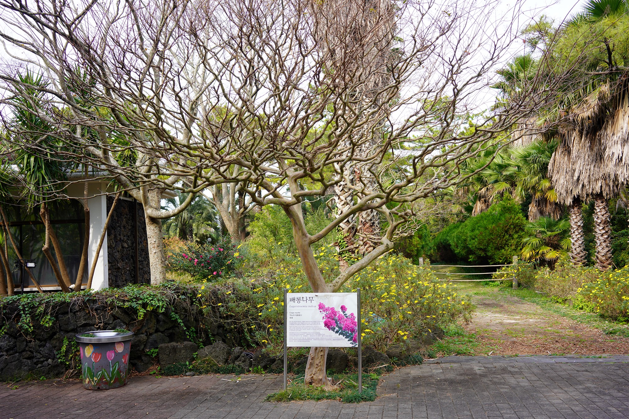Jeju 18 (4)