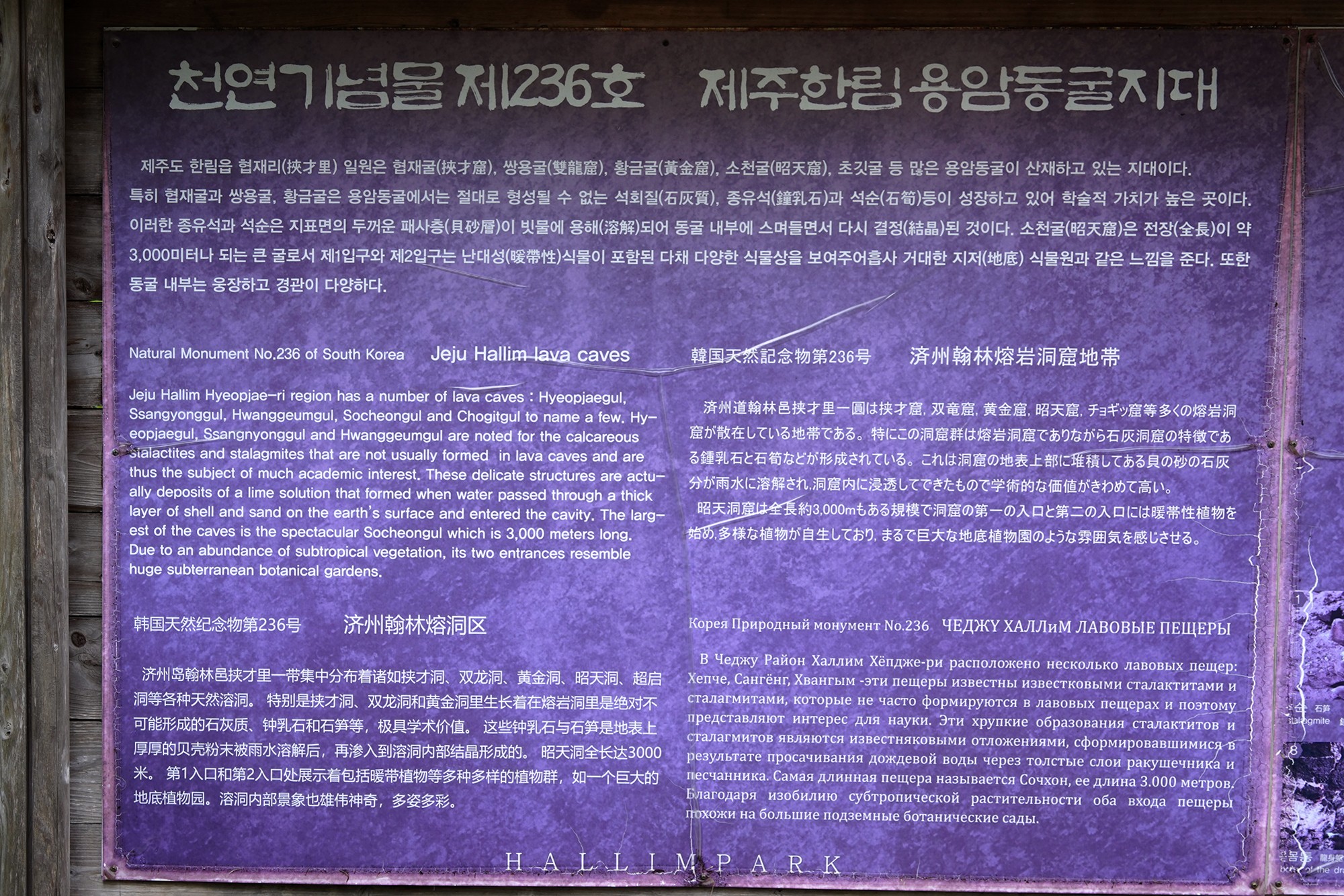 Jeju 18 (40)