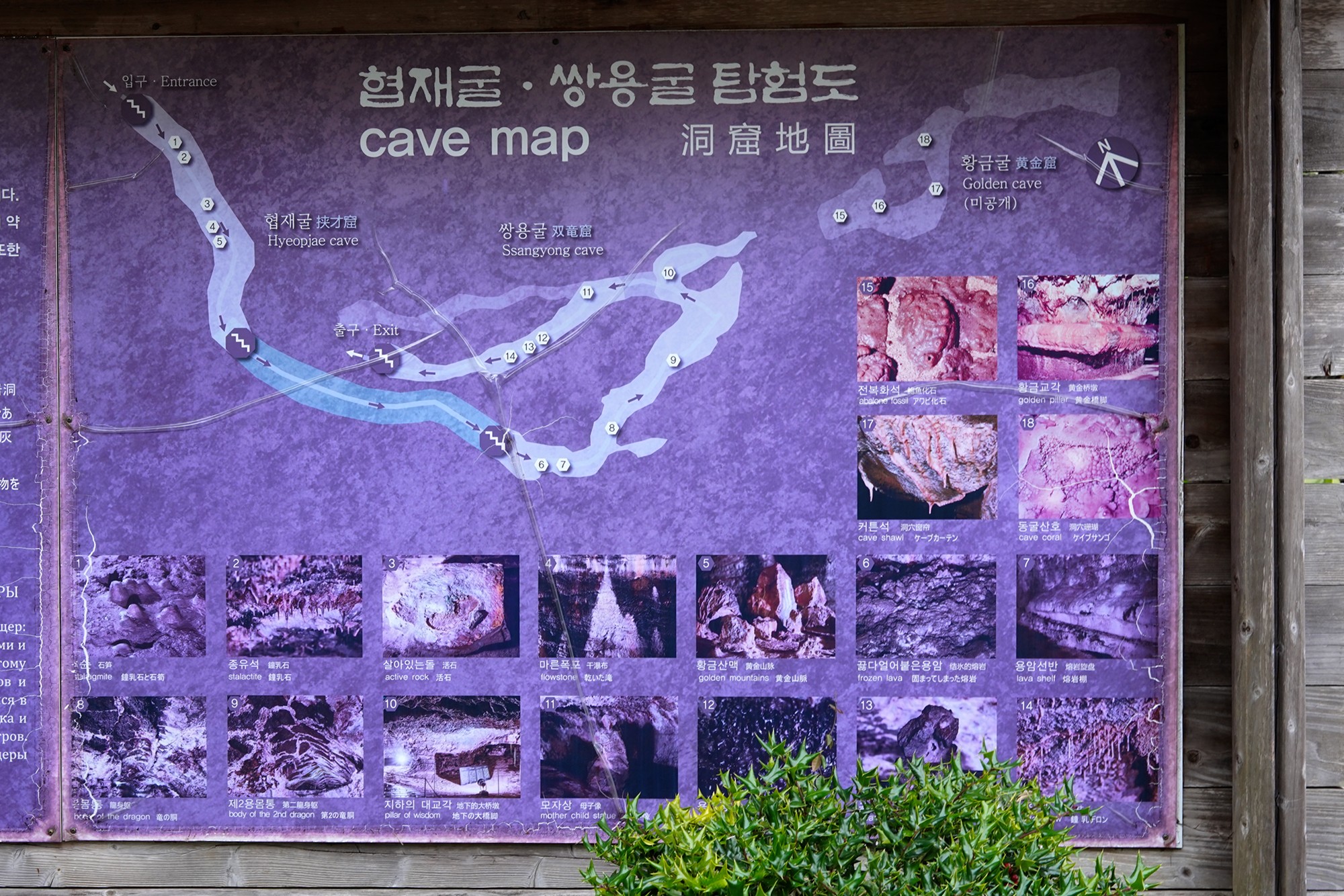 Jeju 18 (41)