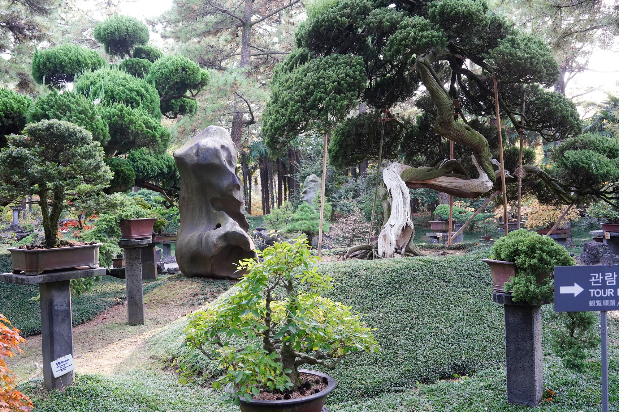 Jeju 18 (56)
