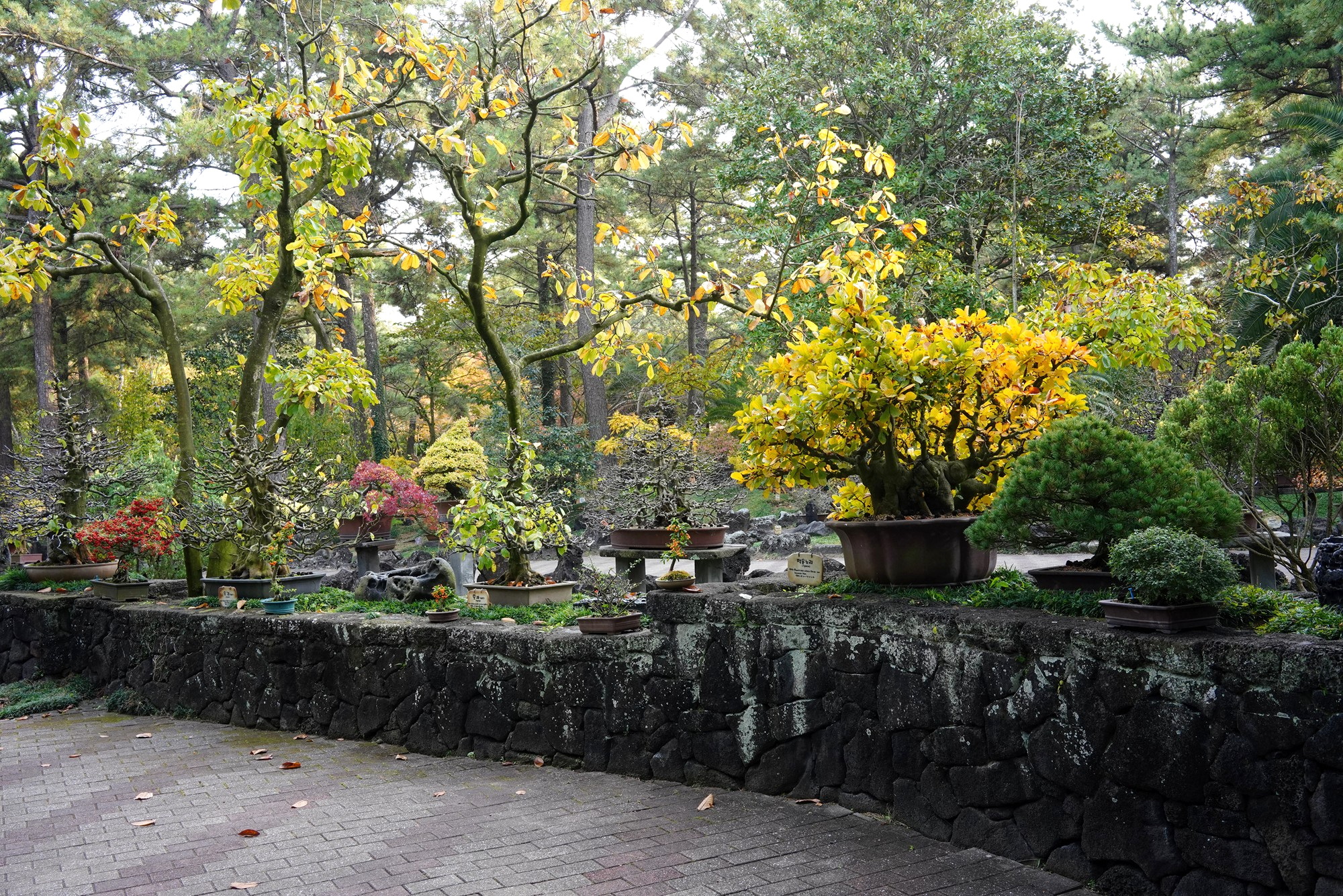 Jeju 18 (58)