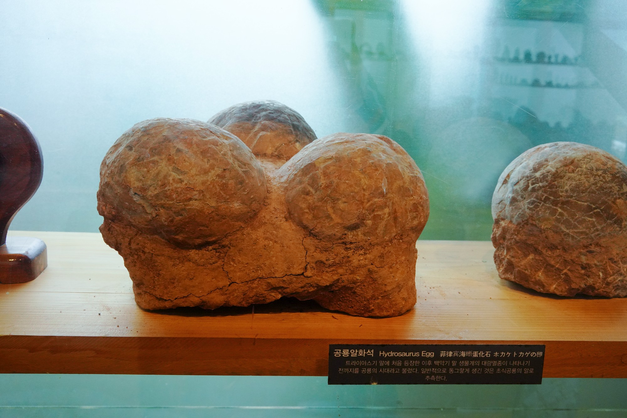 Jeju 18 (6)