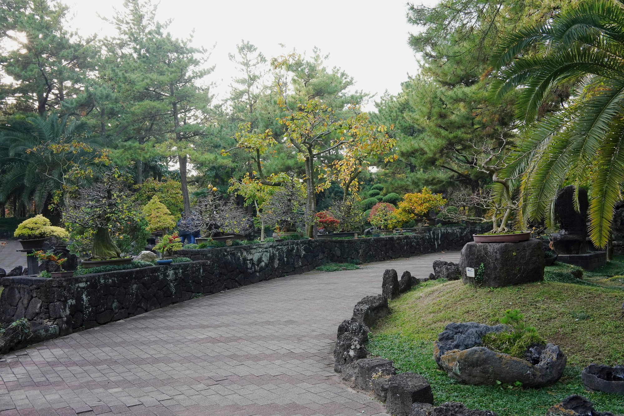 Jeju 18 (60)
