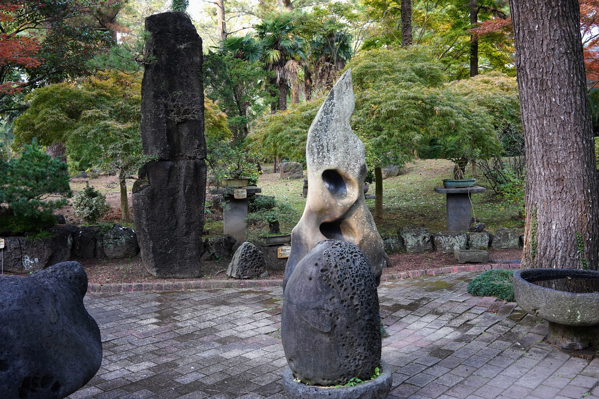 Jeju 18 (61)