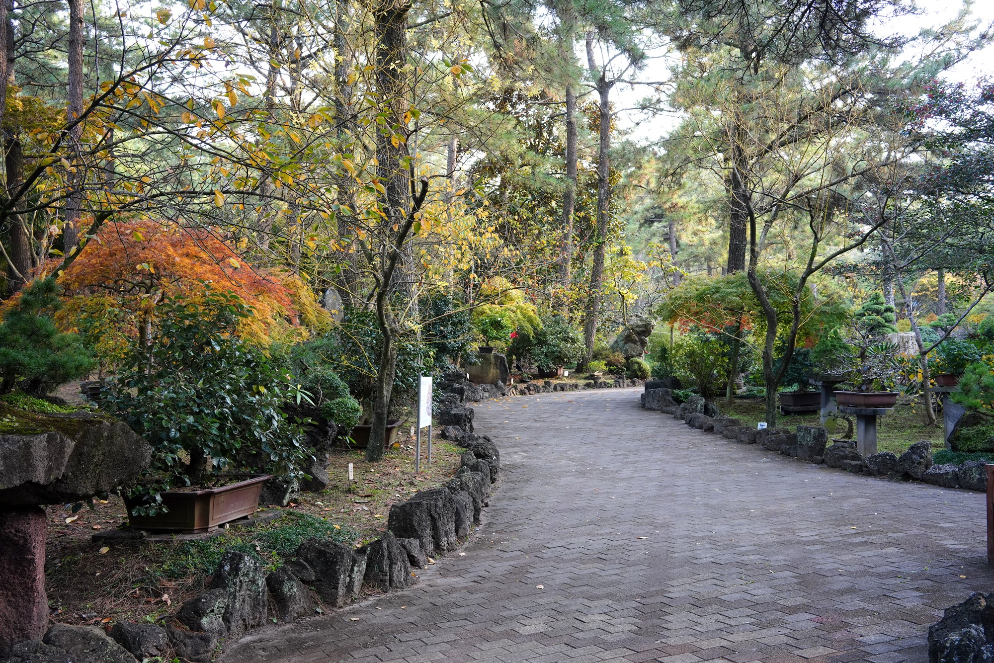 Jeju 18 (62)