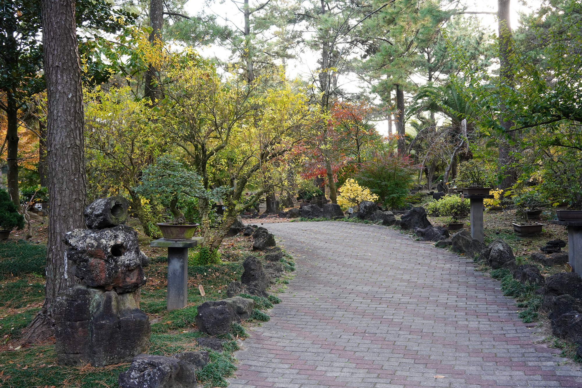 Jeju 18 (64)