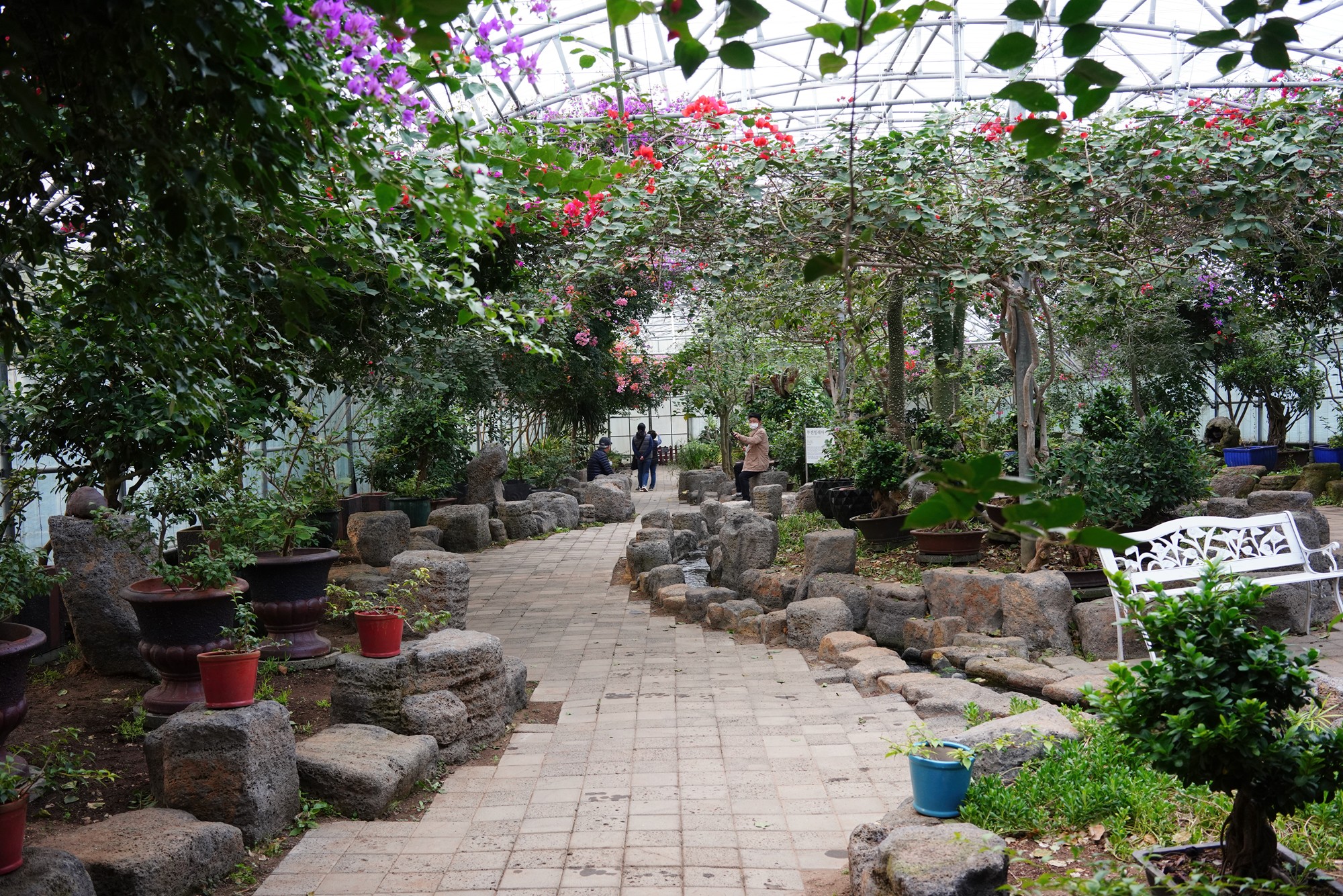 Jeju 18 (65)