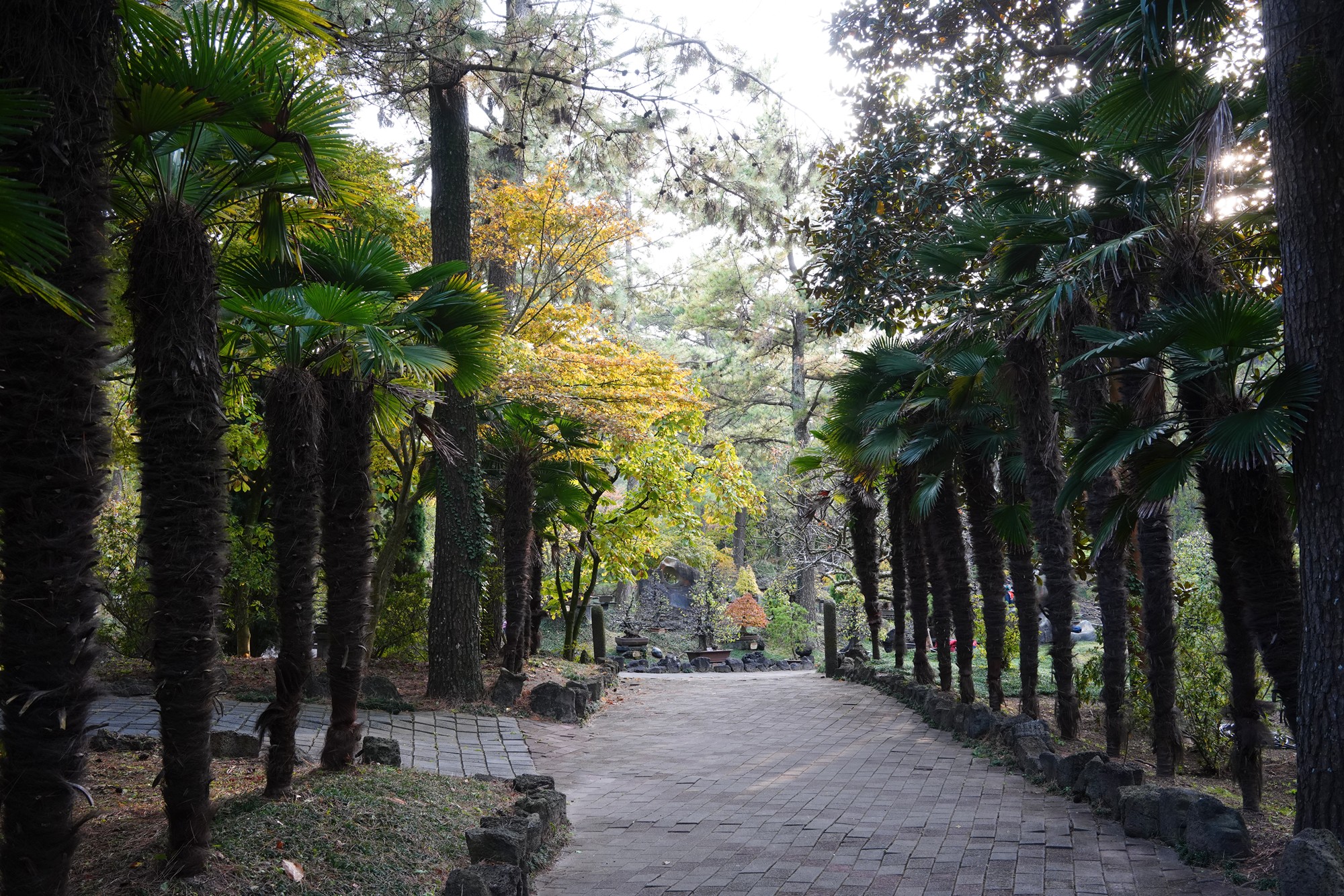 Jeju 18 (66)