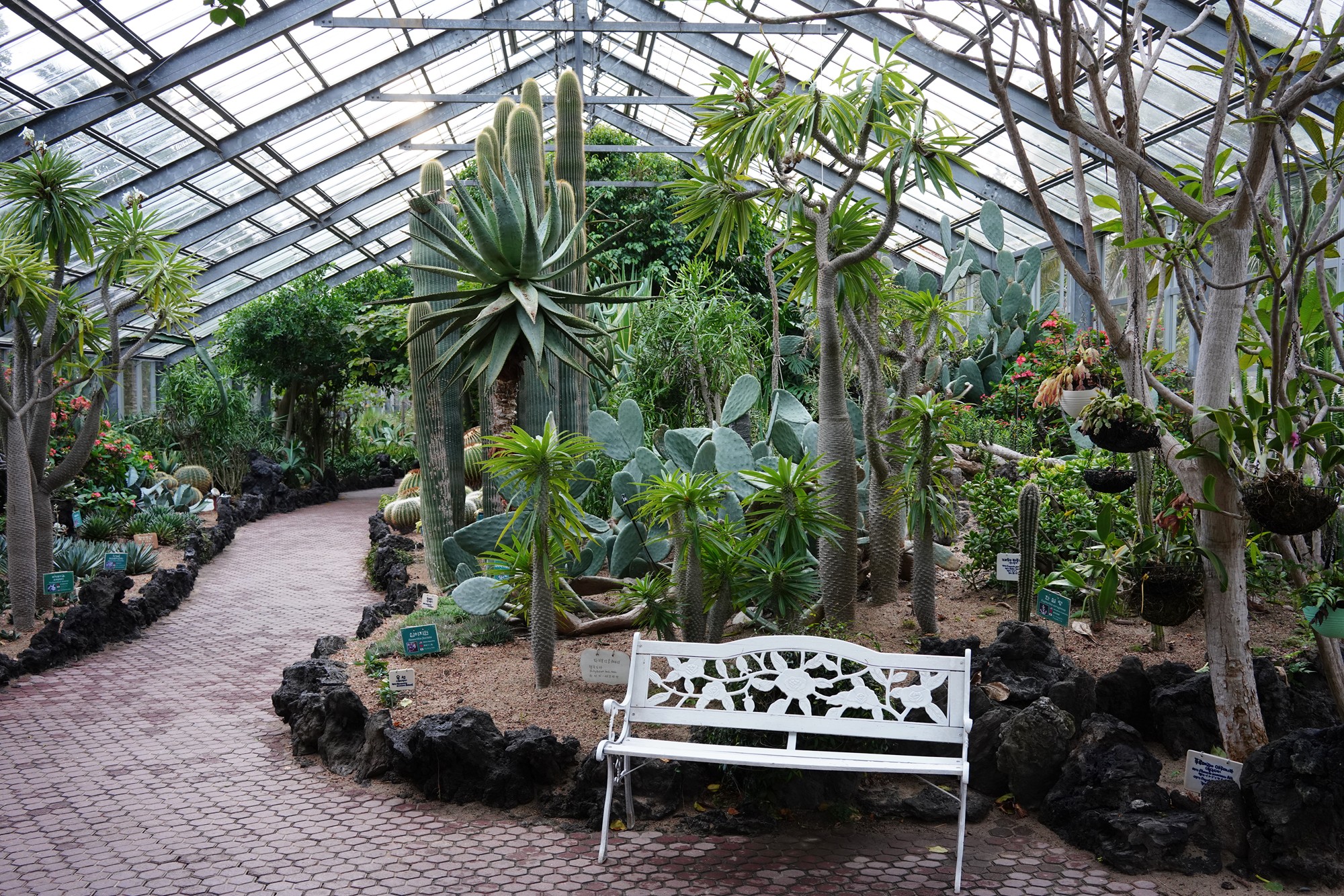Jeju 18 (68)