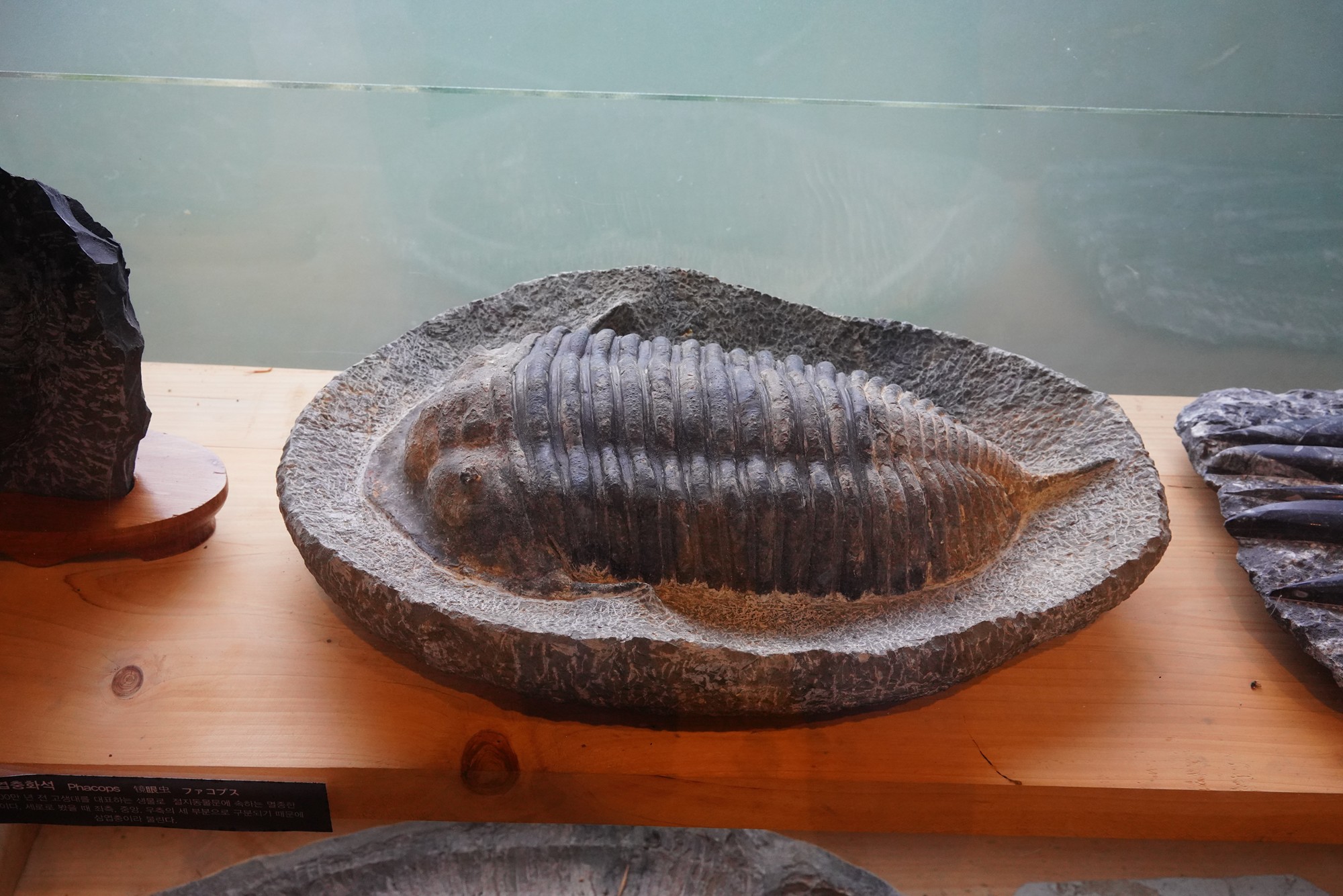Jeju 18 (7)