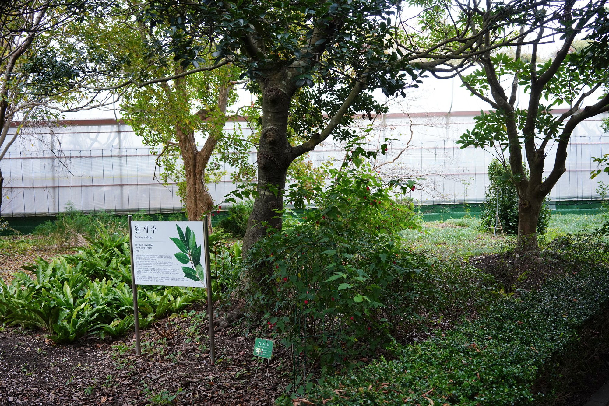 Jeju 18 (71)