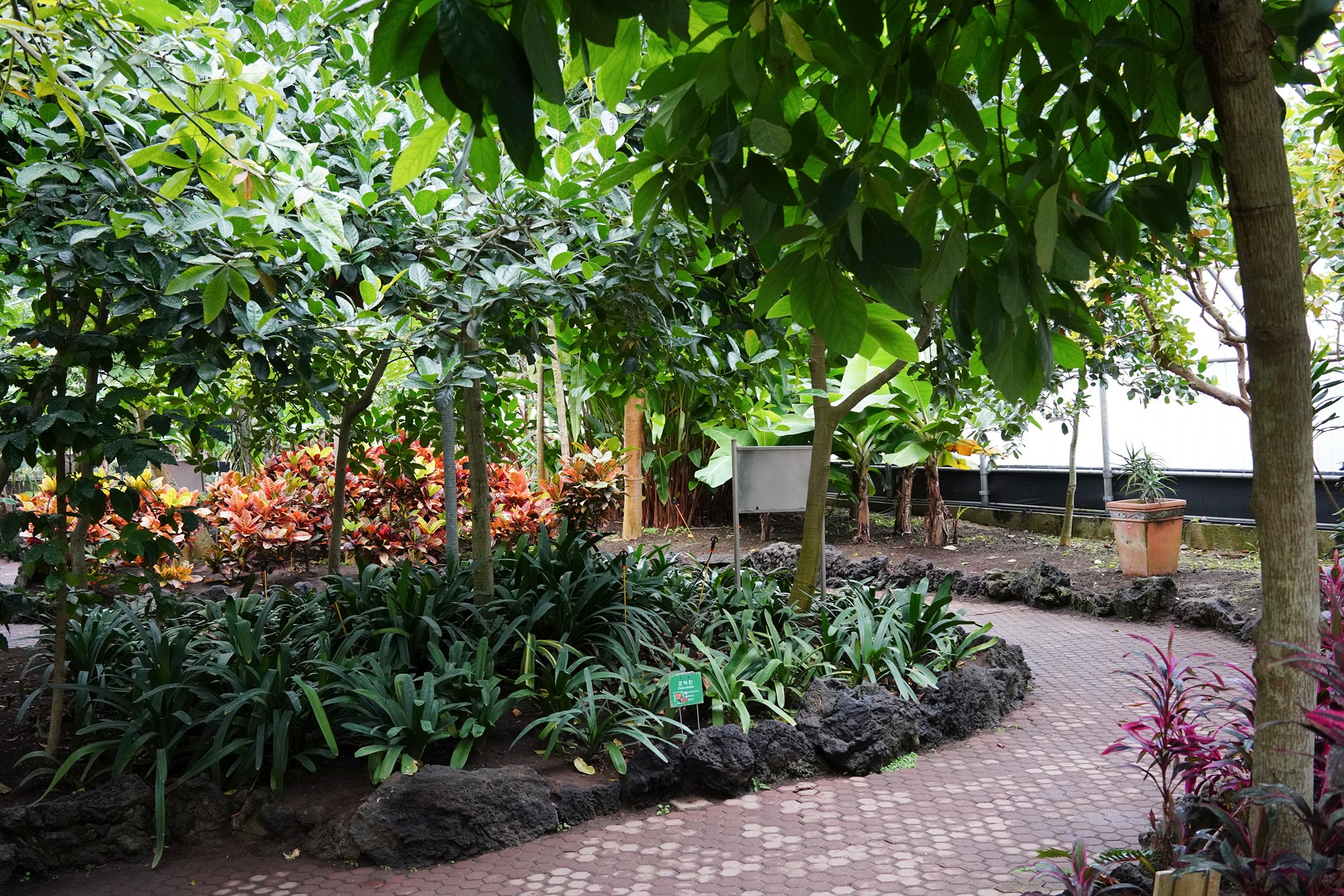 Jeju 18 (89)